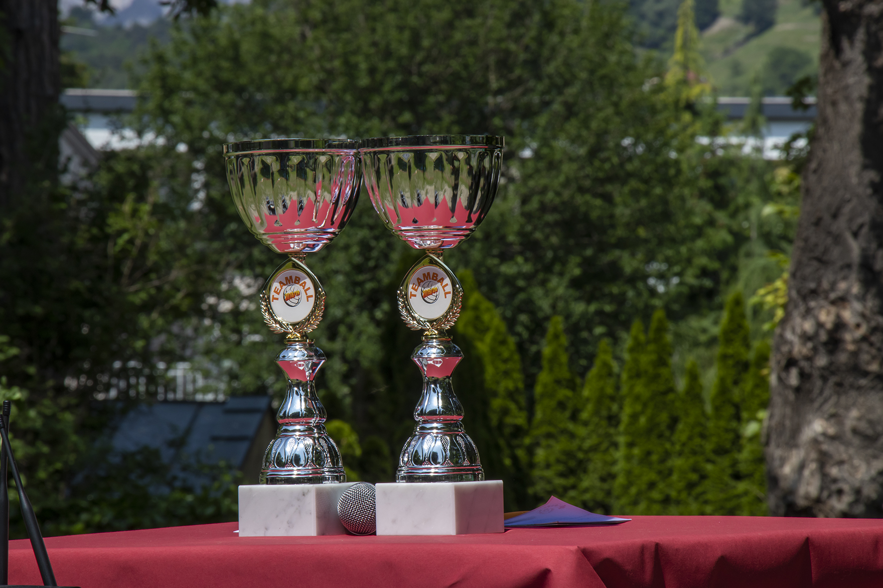 Den Turniersieg sicherte sich das Team „Black Panther“ der beiden Partnerklassen der VS Allerheiligen und VS Mariahilf vor den „Die Blauen Piraten“  der VS Arzl und VS Dreiheiligen den Turniersieg. Den dritten Platz erreichte das Team „The Tigers“  der VS Igls-Vill und VS Saggen.