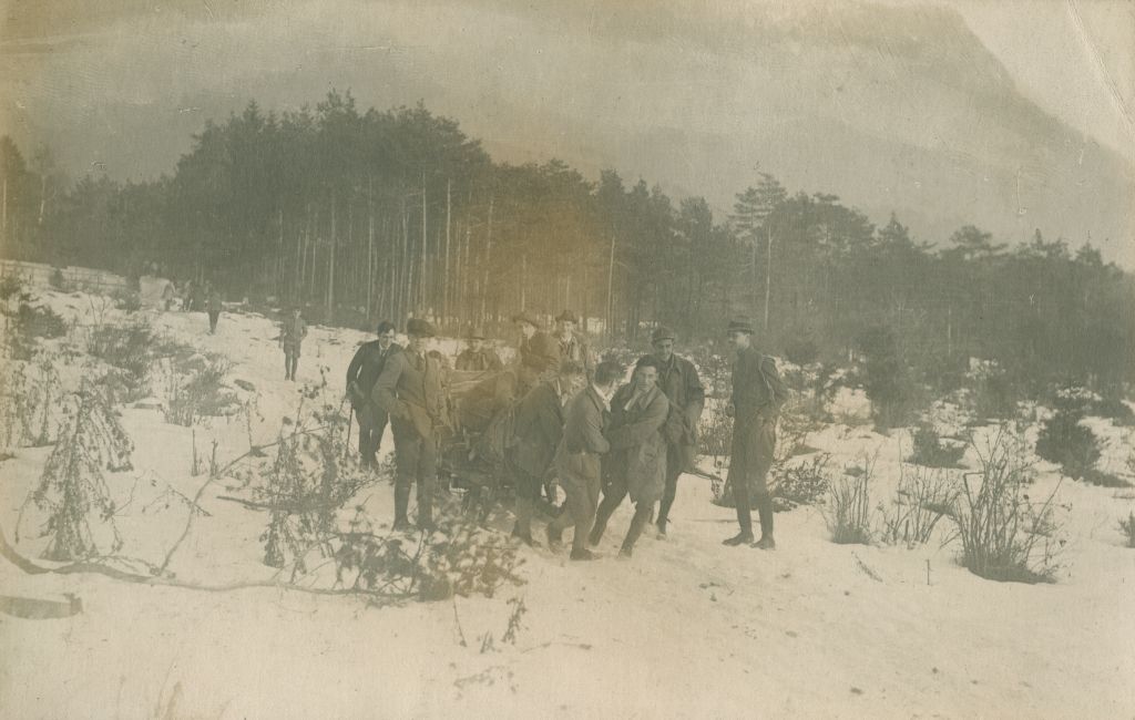 Studierende halfen Brennholz für die Universität zu transportieren. Foto, 1918/1919
