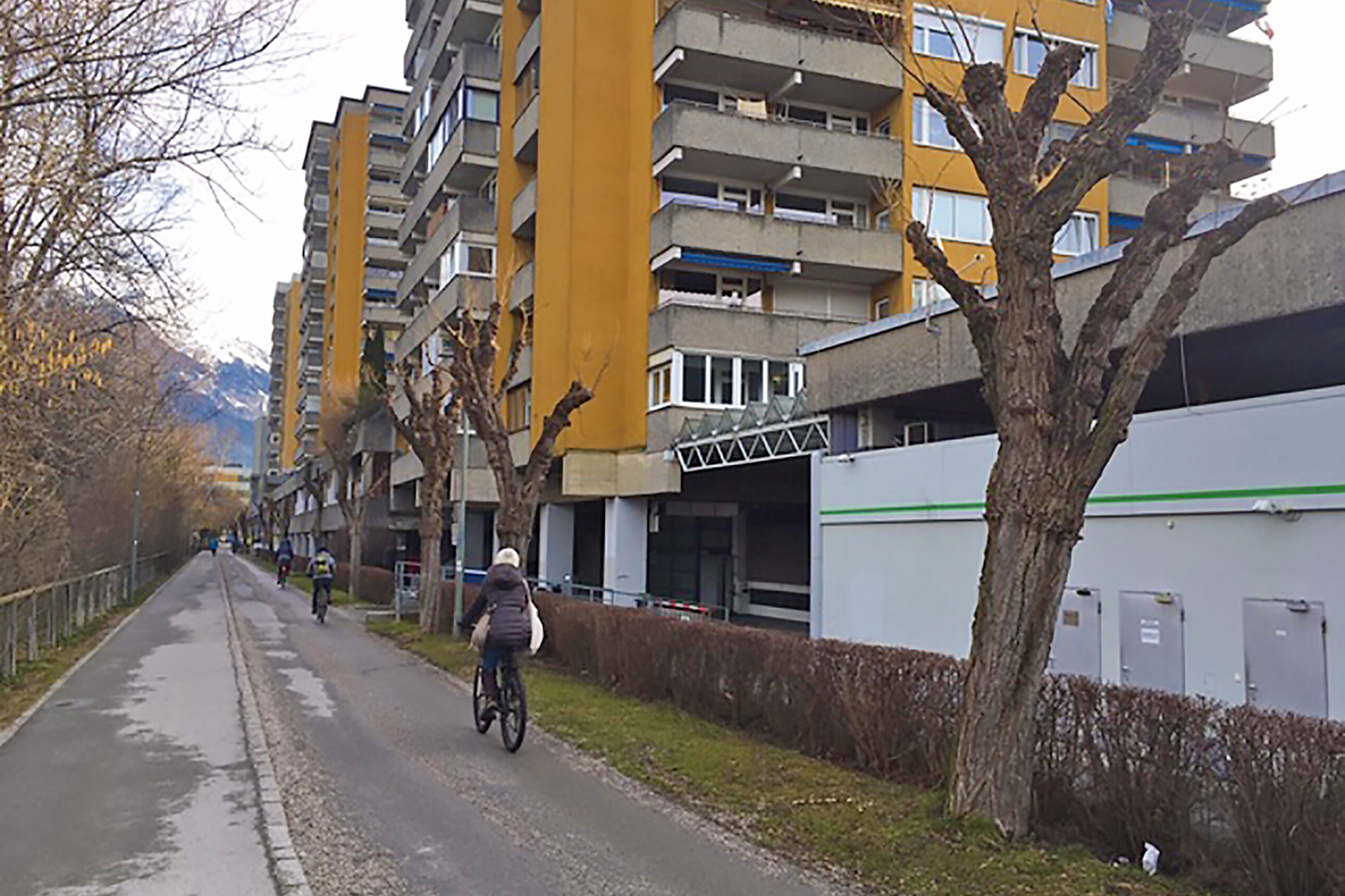 Zwischen der Karwendelbrücke und Freiburger Brücke werden aufgrund von Leitungsarbeiten stark beschädigte Bäume entfernt und durch neue Pflanzen ersetzt.