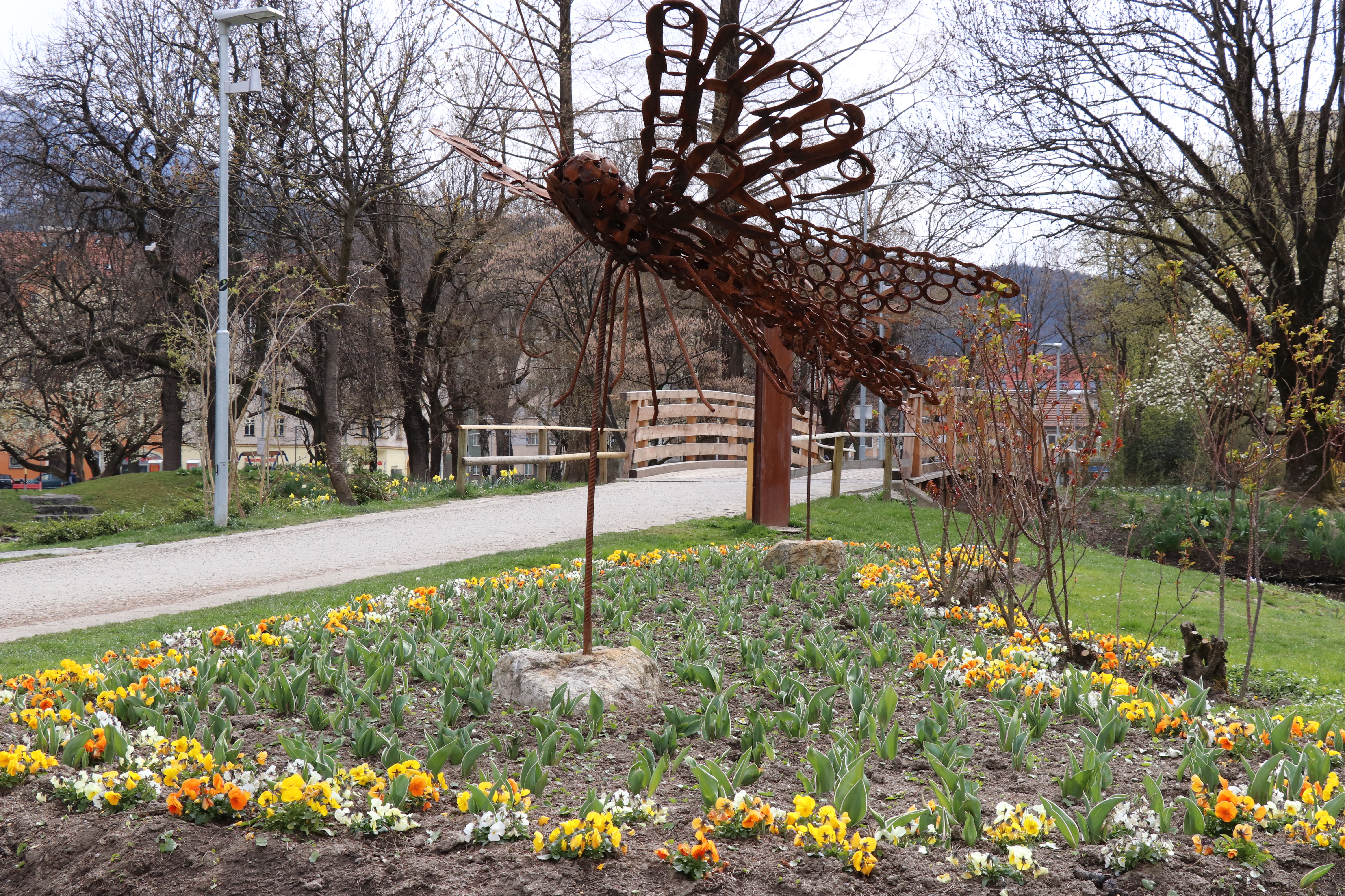 In vielen städtischen Park- und Grünanlagen findet man bereits frühlingshafte Blütenpracht, wie hier im Rapoldipark in Pradl.