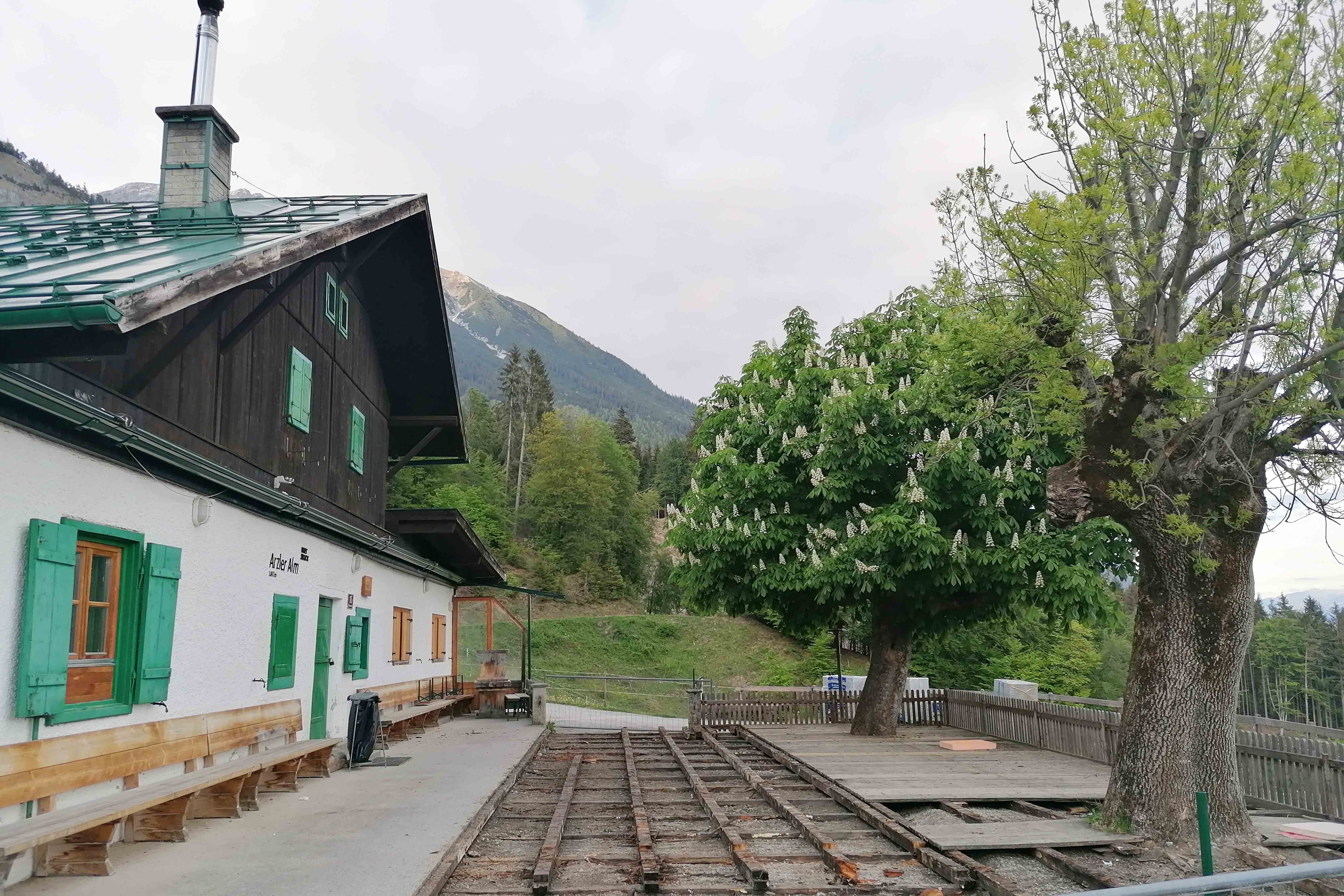 Ende Mai sollen die Erneuerungsarbeiten sowie die Neupflanzung der Terrassenbäume abgeschlossen sein.
