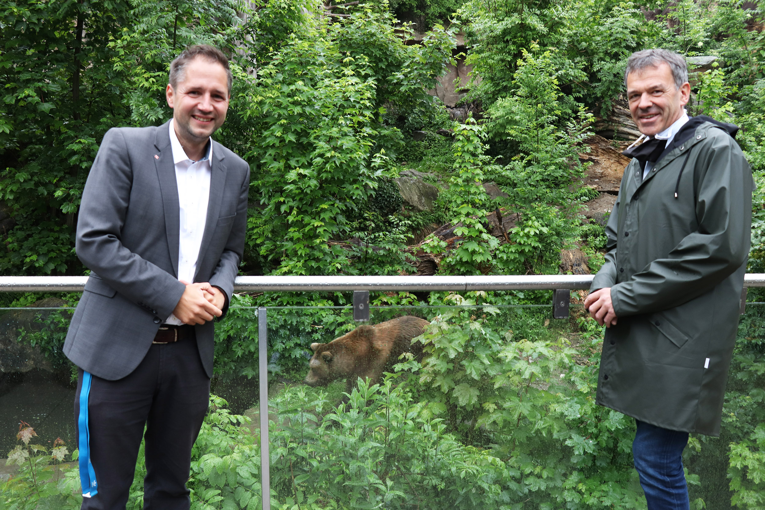Nach 62 Tagen Corona-Sperre ist der Alpenzoo Innsbruck endlich wieder für BesucherInnen geöffnet. Diesen erfreulichen Anlass nutzte Bürgermeister Georg Willi zu einem Besuch. Zoodirektor André Stadler informierte ihn dabei über die Vorkehrungen des Alpenzoos, um für die Gäste einen sicheren Besuch zu ermöglichen. An Spitzentagen zählt der Alpenzoo bis zu 2.500 BesucherInnen täglich. Rund 2.000 Tiere und 150 verschiedene Arten werden in naturnah gestalteten Gehegen, Aquarien und Terrarien gepflegt. Der Alpenzoo ist damit weltweit einzigartig.