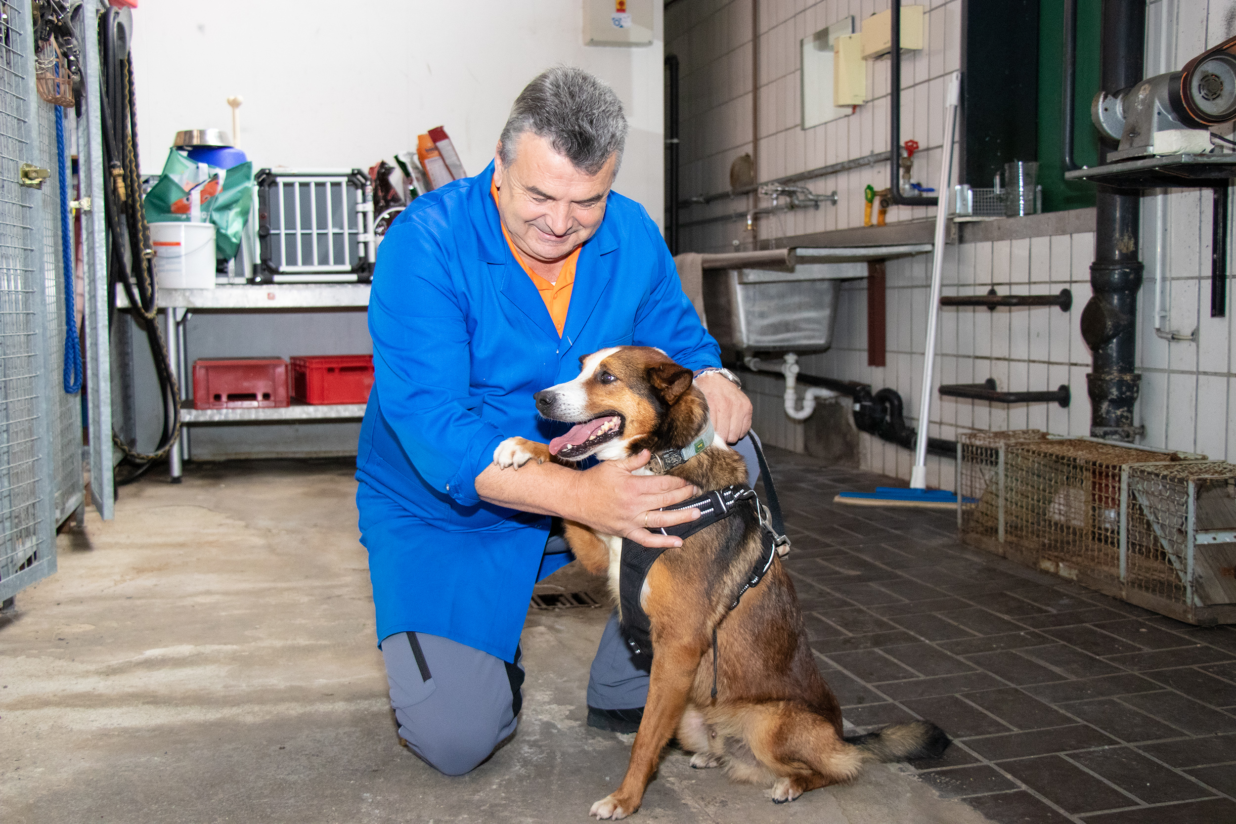 Seit 30 Jahren ist Johann Gredler bei der Wasenmeisterei. Hier betreut er Findelhund „Charlie“, der wie andere Fellnasen im Tierheim untergebracht ist und ein neues Zuhause sucht.