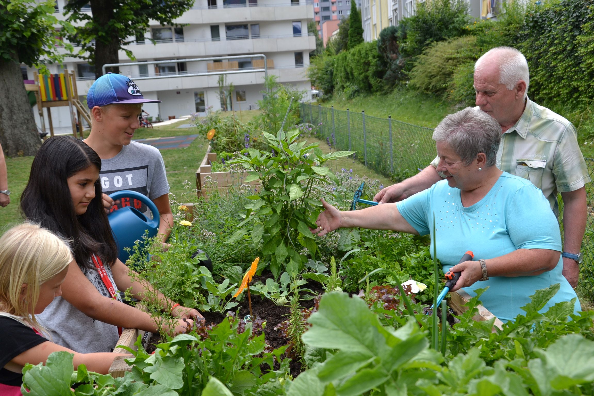 Gemeinsame Sache mit den NachbarInnen machen. Darum geht’s bei der Einzugsbegleitung.