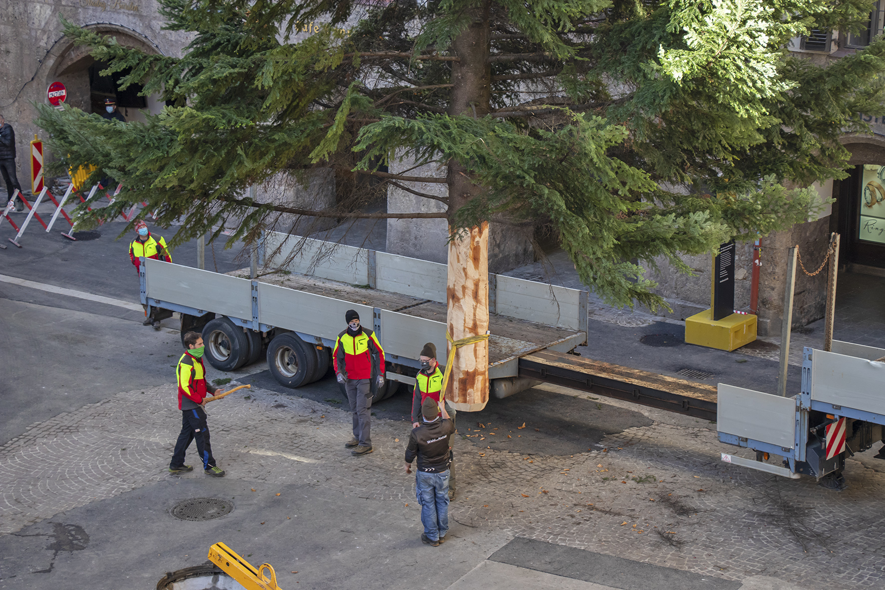Der Christbaum wird durch den Kran in die entsprechende Vorrichtung gehoben.