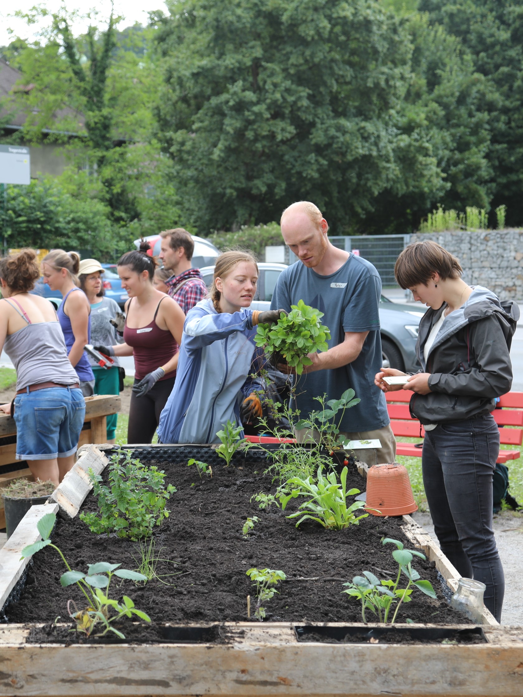 Der Ernährungsrat entwickelt die „Essbare Stadt“.