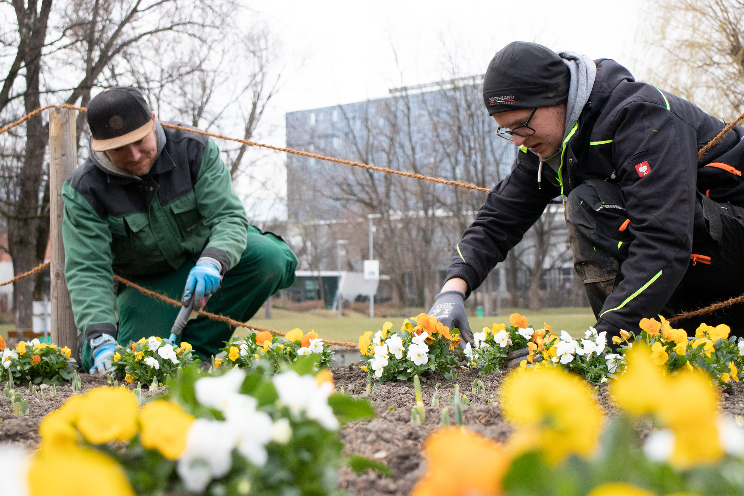 Die Stadtgärtner – wie hier im Rapoldipark – legen ab kommender Woche so richtig los.