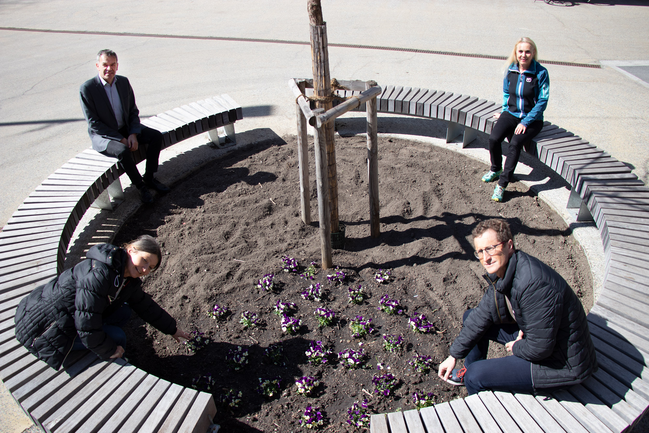 Hoffen auf zahlreiche HobbygärtnerInnen: Bürgermeister Georg Willi, Stadträtin Uschi Schwarzl, Elisabeth Meze (BürgerInnenbeteiligung) und Thomas Klingler (Amt für Grünanlagen) bei einer der noch zu bepflanzenden Inseln.