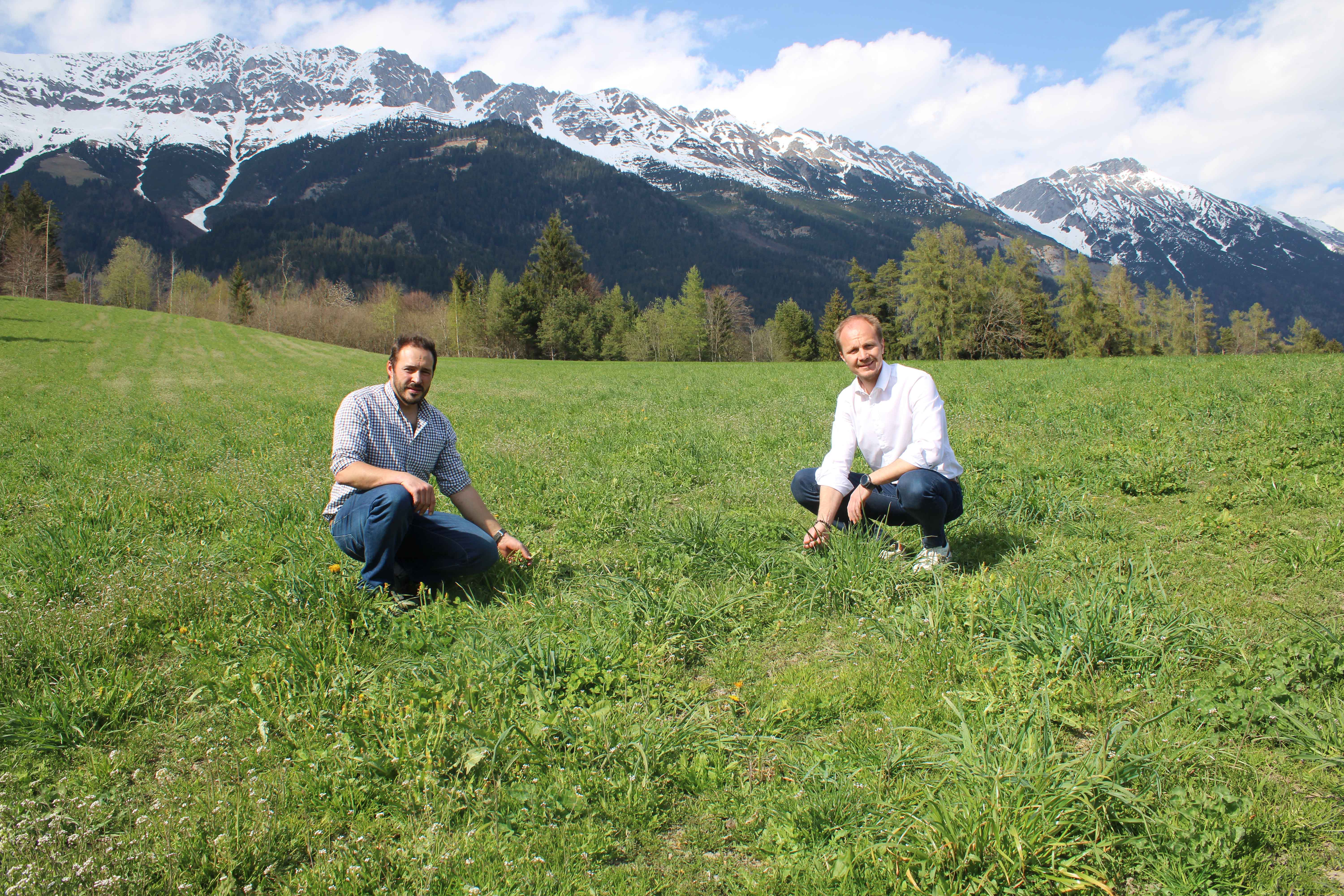 Vizebürgermeister Johannes Anzengruber mit Gebietsobmann Andreas Heis bei der Besichtigung der landwirtschaftlichen Kulturen.