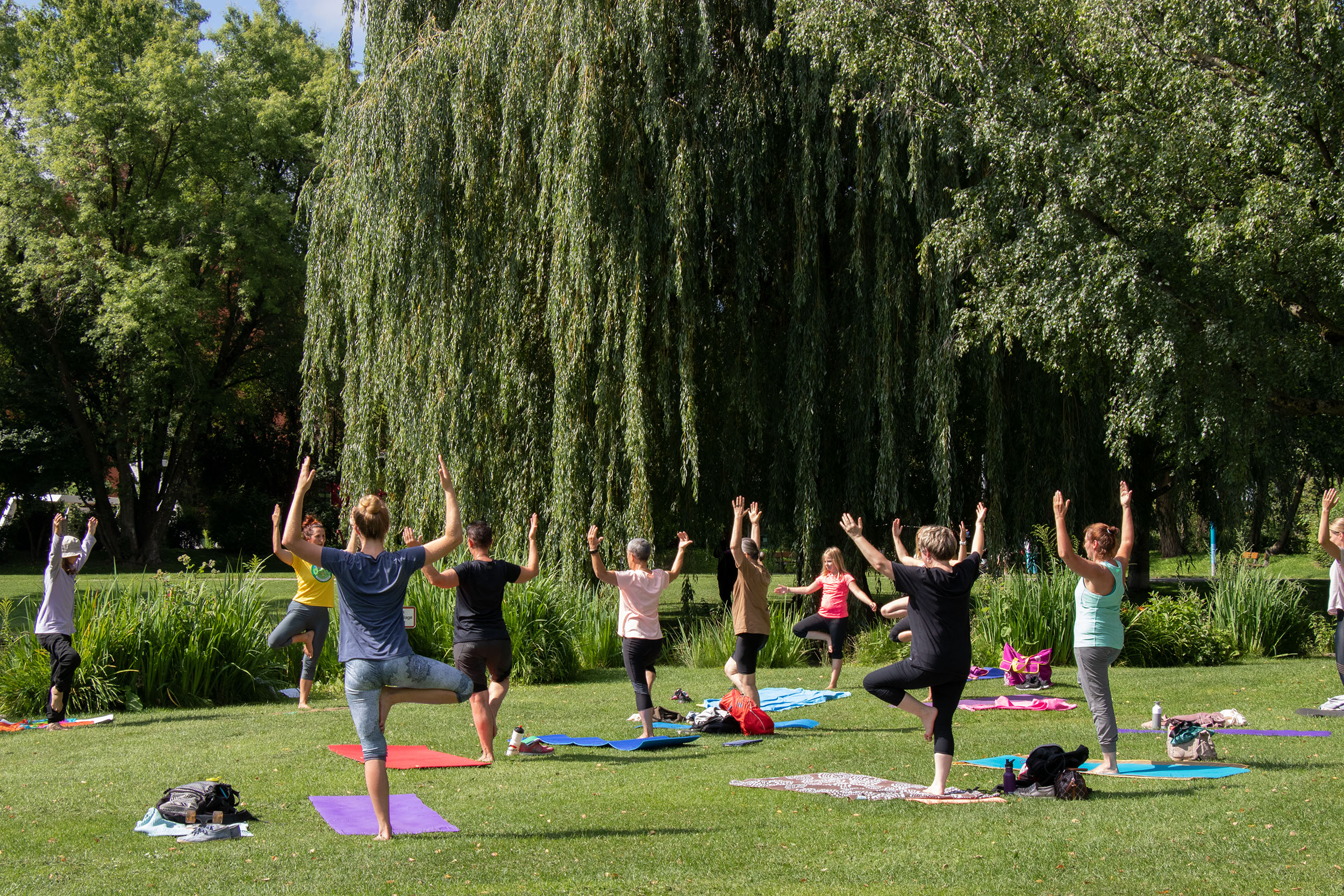 Das Freiluft Yoga im Rapoldipark ist ein beliebter Vormittags-Kurs im diesjährigen Bewegt im Park-Programm.
