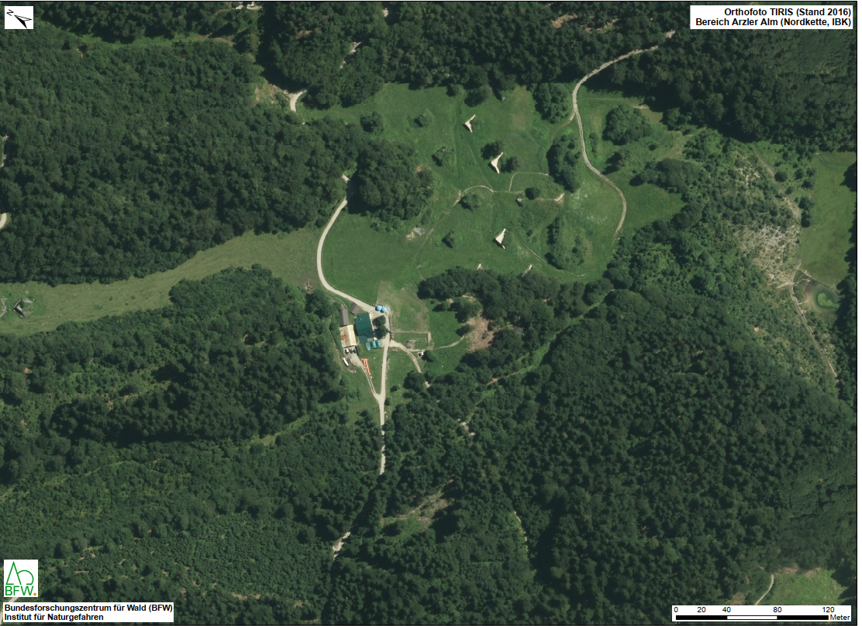 Der Vergleich vor und nach der Lawine im Jänner 2019 im Bereich der Arzler Alm macht die massiven Waldschäden, die die Schneemassen hinterlassen haben, sichtbar. Die Aufforstung des Schutzwaldes mit mehr als 20.000 Bäumen ist vorerst abgeschlossen.