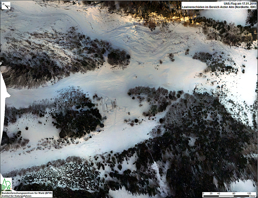 Der Vergleich vor und nach der Lawine im Jänner 2019 im Bereich der Arzler Alm macht die massiven Waldschäden, die die Schneemassen hinterlassen haben, sichtbar. Die Aufforstung des Schutzwaldes mit mehr als 20.000 Bäumen ist vorerst abgeschlossen.