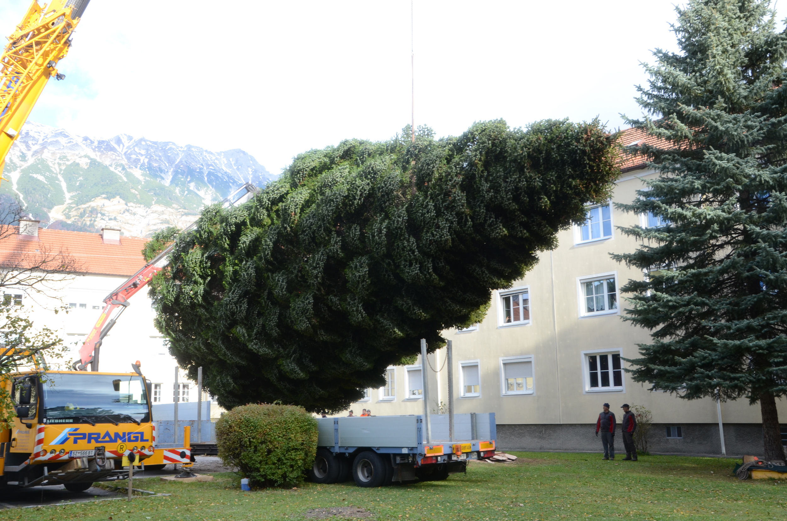 Die 21 Meter hohe und 6,5 t schwere Tanne wird für den Transport in die Innsbrucker Altstadt verladen.