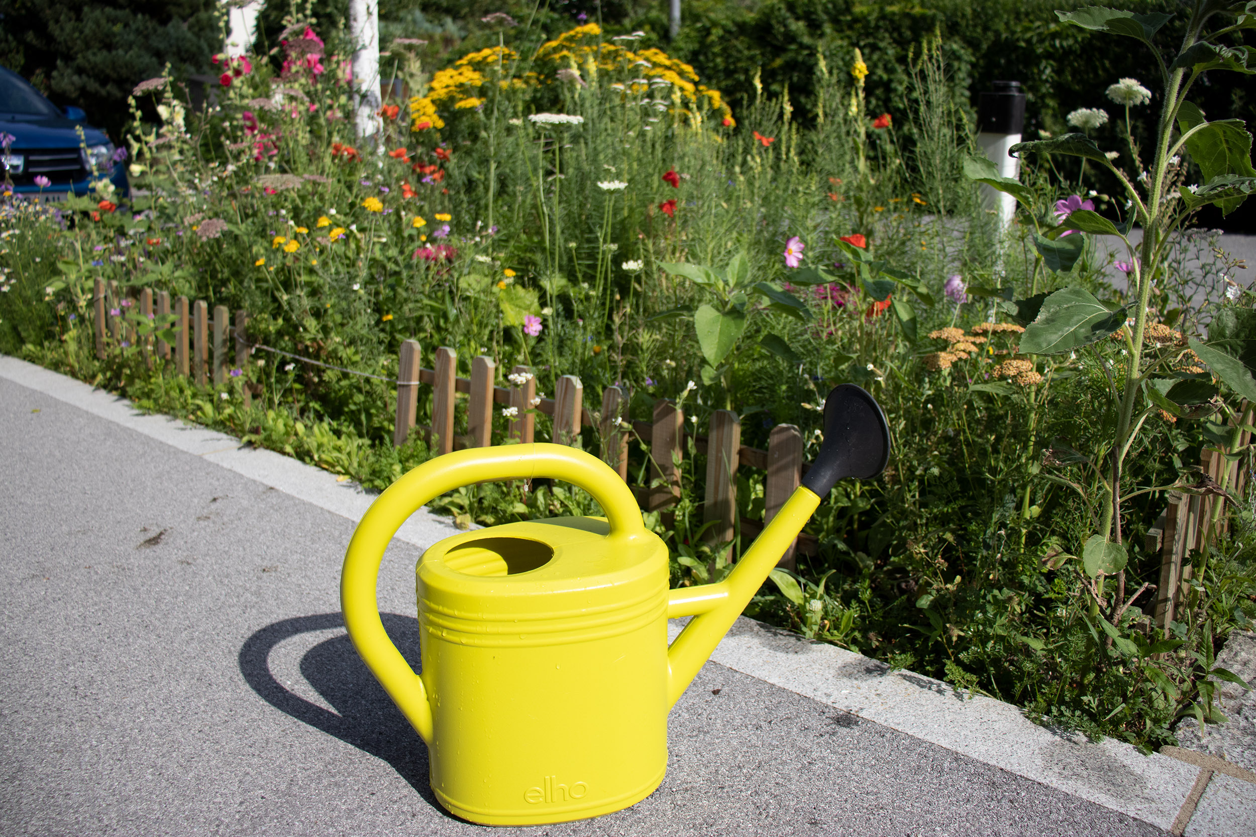 Unter dem Motto „Garteln vor der Haustüre“ haben InsbruckerInnen die Möglichkeit das Ortsbild zu verschönern. Die Gestaltung und Pflege der Fläche sind den HobbygärtnerInnen frei überlassen.