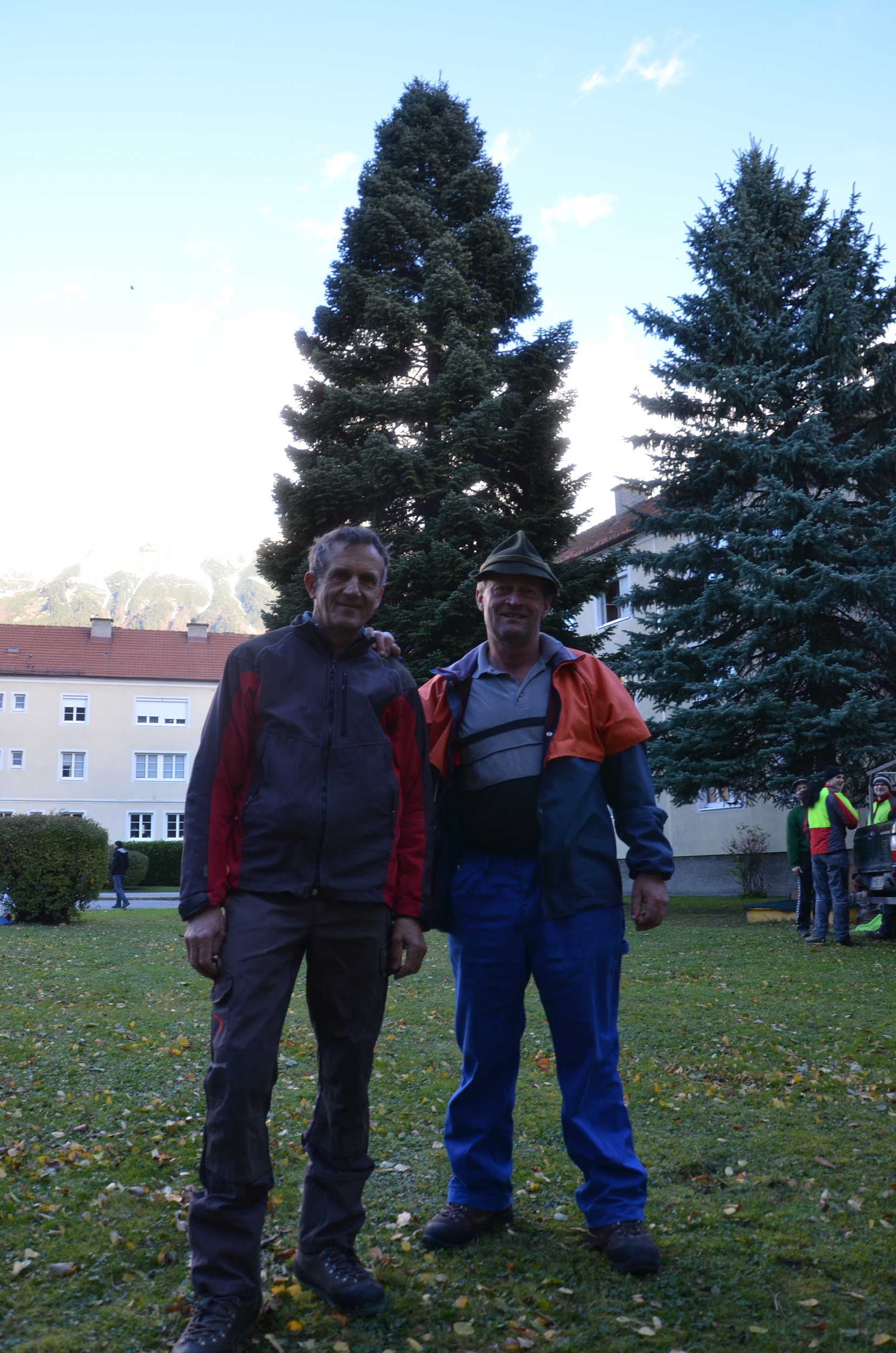 Andreas Hupfauf und Alois Peer haben schon mehr als 25 Christbäume für Innbrucks Altstadt-Christkindl-Markt gefällt. Routine stellt sich deswegen aber trotzdem nicht ein und sie freuen sich jedes Jahr wieder auf dieses Ereignis.