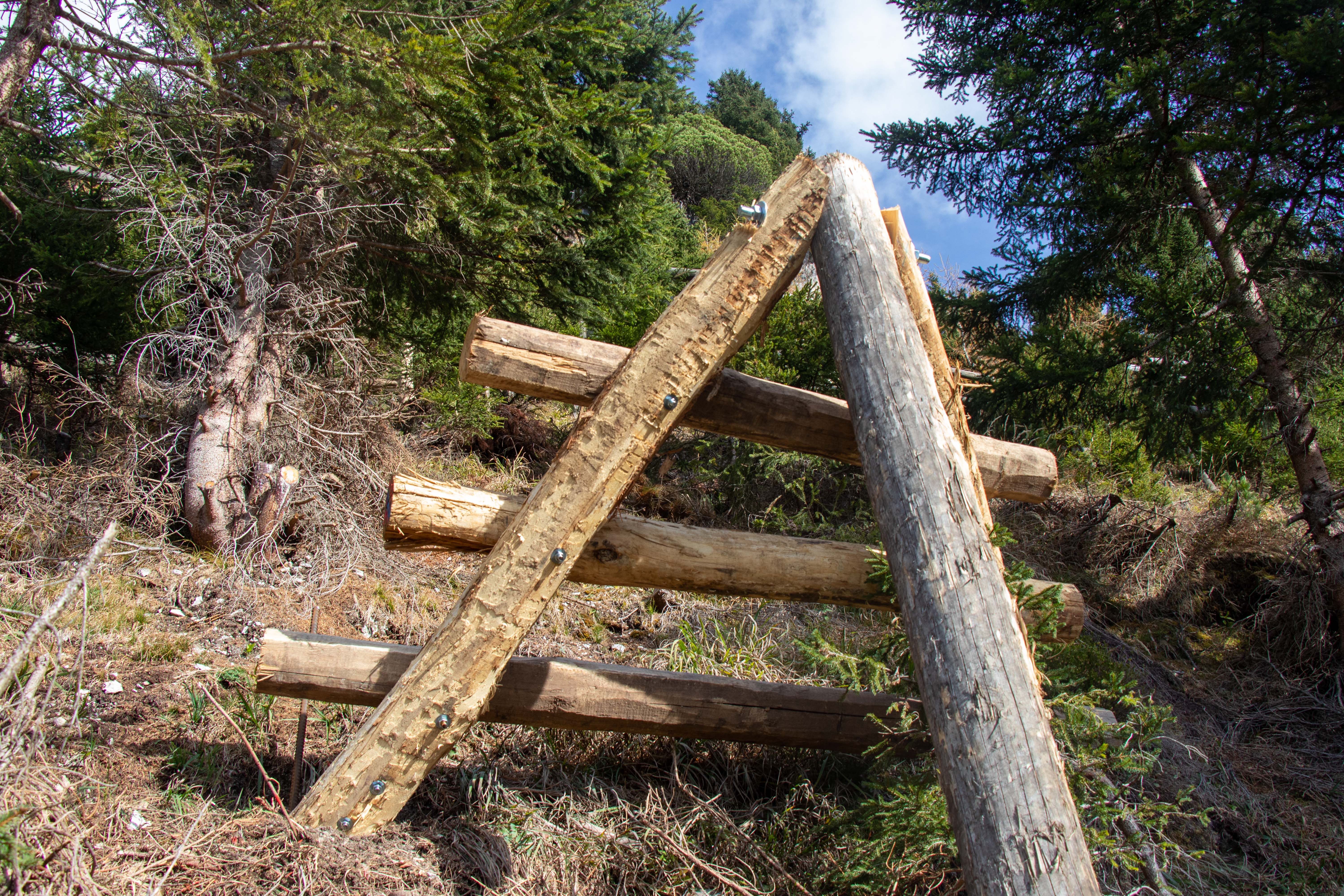 Die Errichtung von Dreibeinböcken ist ein wirkungsvolles Mittel, um den Jungwald vor Schneemassen in diesen Höhen zu schützen.