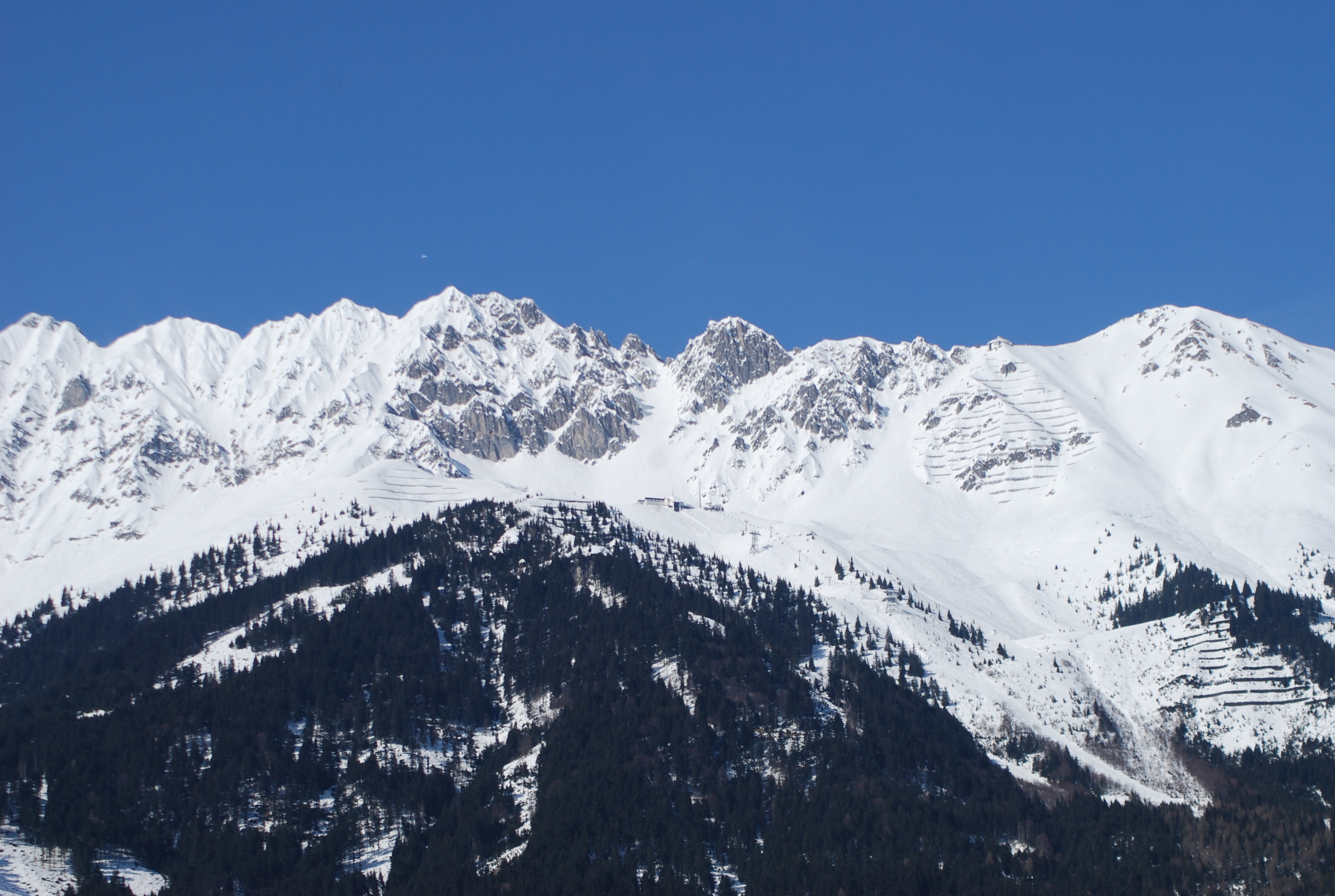 Wildtiere brauchen im Winter in ihrem Lebensraum auf der Nordkette viel Ruhe.