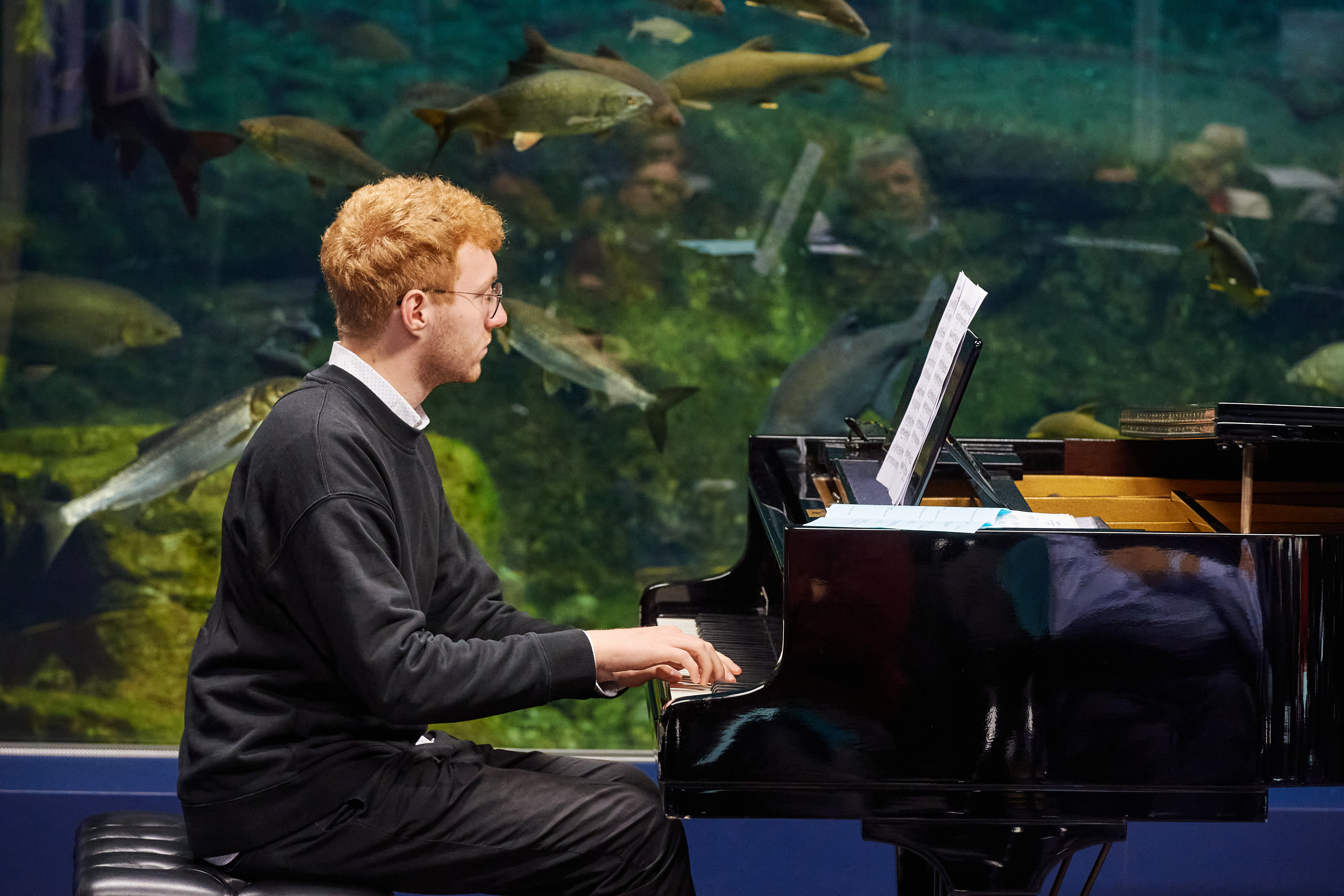 Die Musikschule Innsbruck und die Rheintalische Musikschule Lustenau musizieren gemeinsam am 25. März im Alpenzoo (Hans-Psenner-Saal).