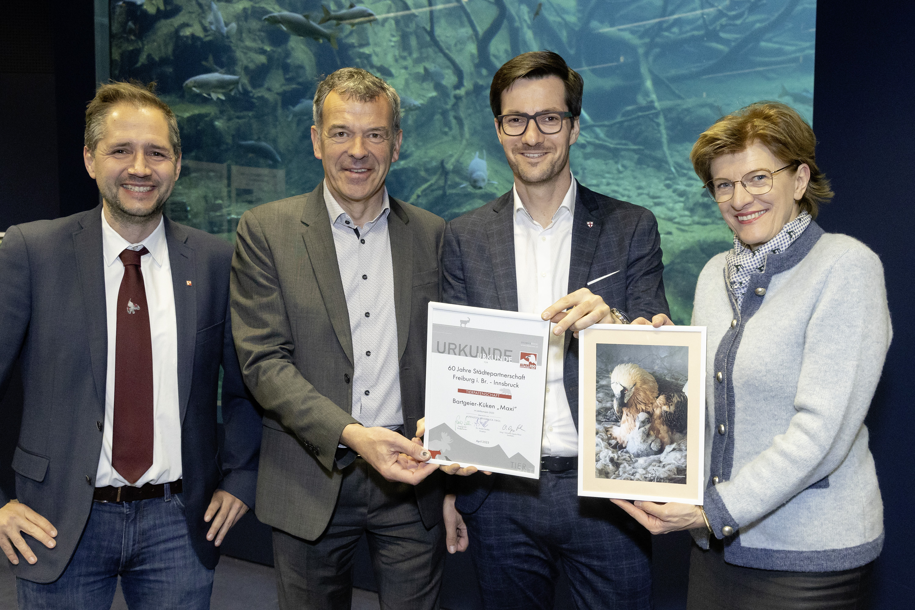 Bürgermeister Georg Willi (2. v. l.), Freiburgs Oberbürgermeister Martin Horn (2. v. r.), Stadträtin Christine Oppitz-Plörer und Alpenzoo-Direktor André Stadler bei der Übergabe der Patenschaft für das Bartgeierküken Maxi