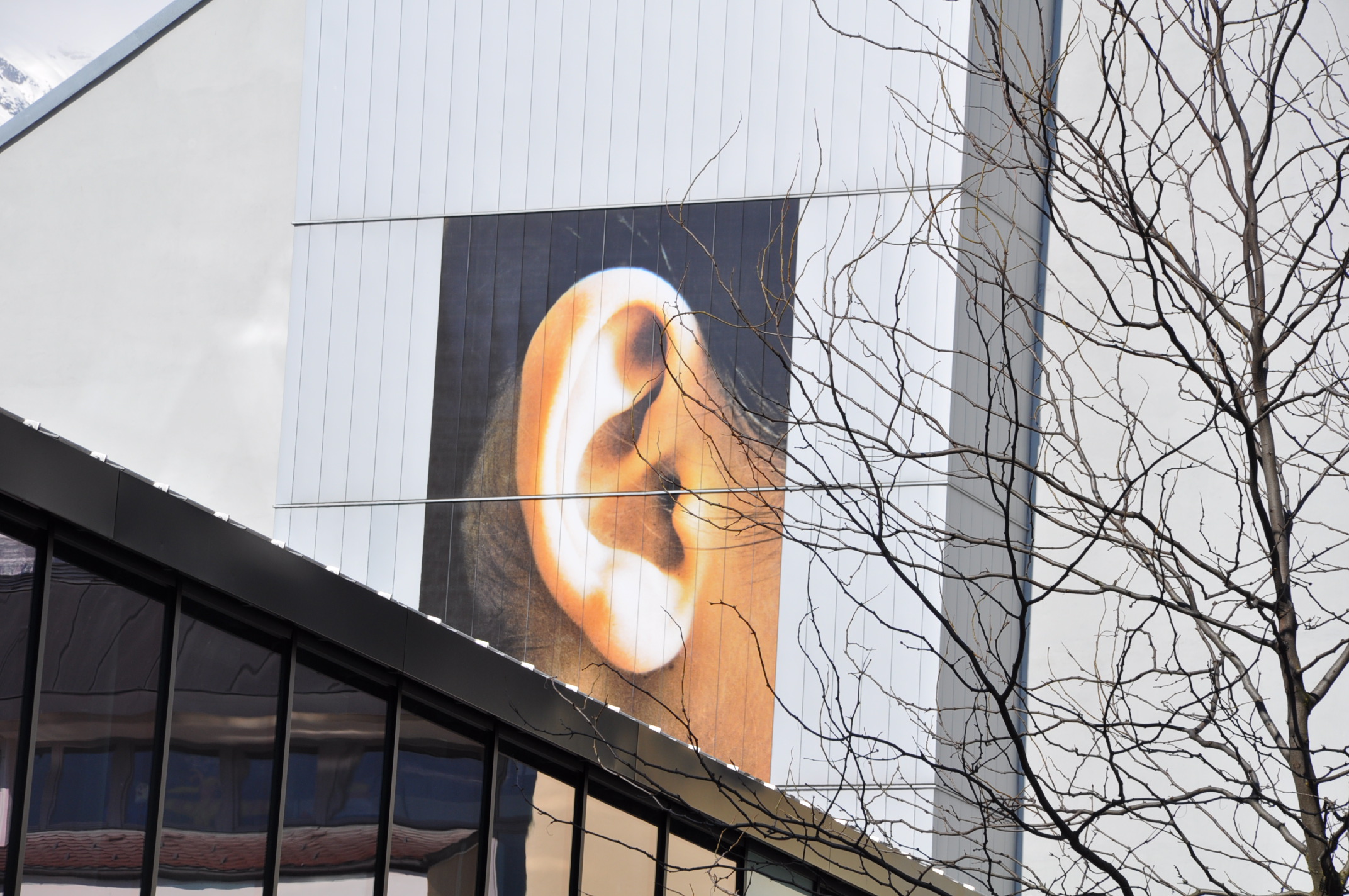 Am 11. Jänner können sich interessierte Innsbrucker Jugendliche im Rathaus (6. Stock) über den Jugendbeirat informieren.