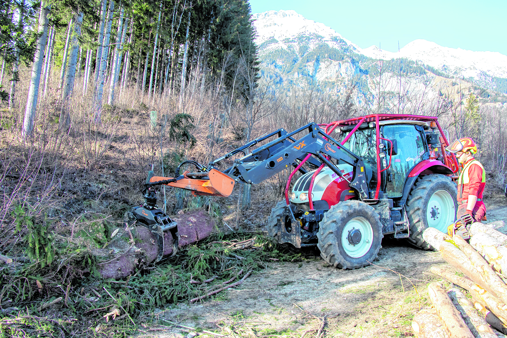 Forstarbeiten – wie der Abtransport von Schadholz – gehören zu den Kernaufgaben des Amtes für Wald und Natur.