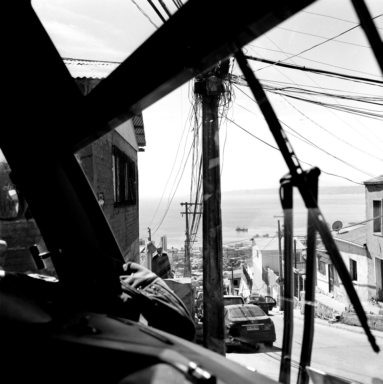 "Argo" von Zita Oberwalder (Ausschnitt).