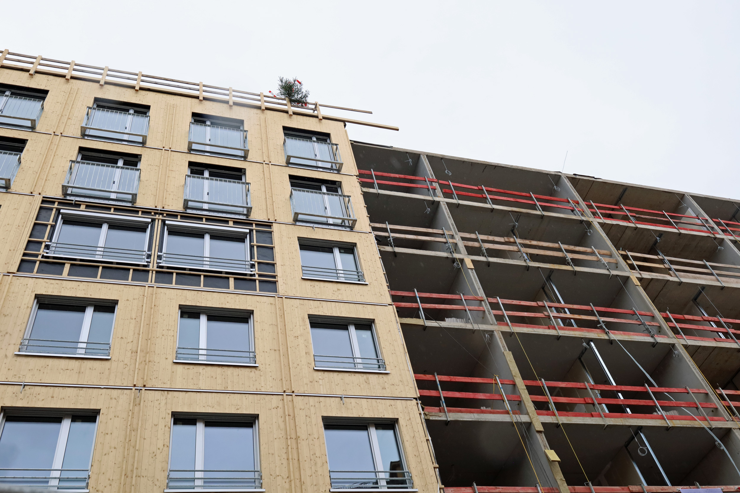 Sowohl die Vorder- als auch die Hinterfassade werden mit unbehandeltem Holz verkleidet.