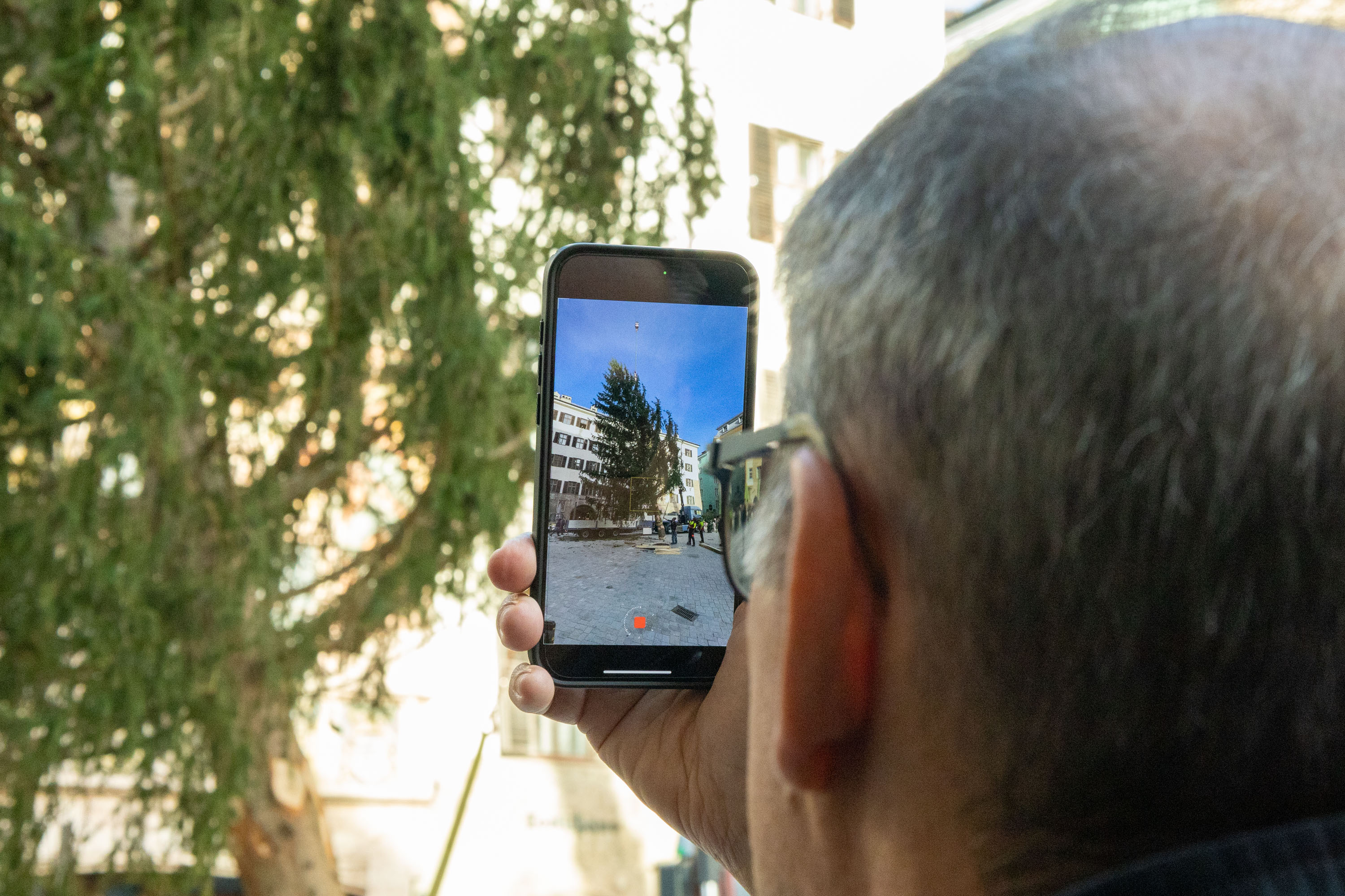 Der Christbaum gehört zum traditionellen Christkindlmarkt in der Innsbrucker Altstadt.