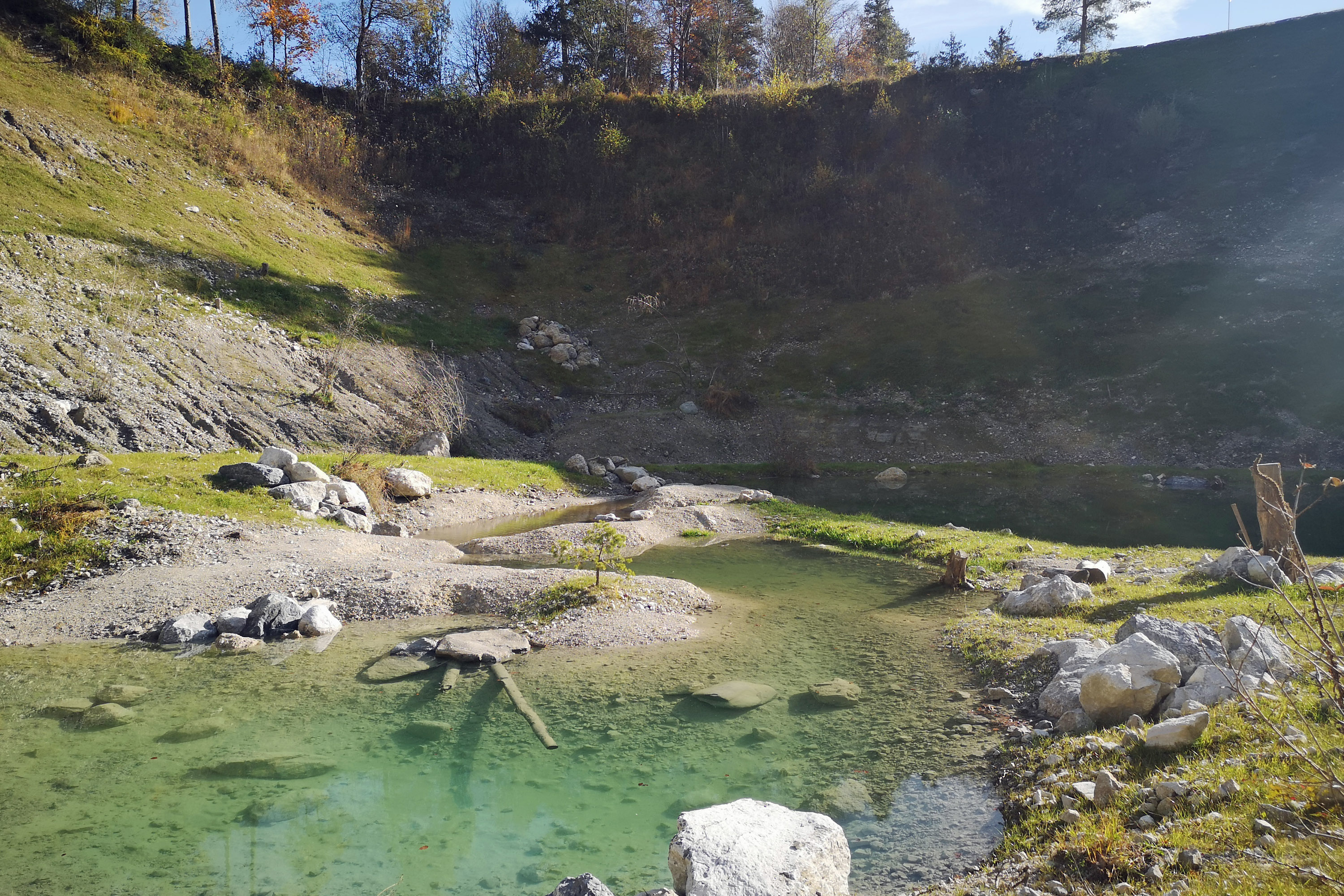 Zusätzlich zum Schutz bietet der Bau ein neu entstandenes Biotop und einen Löschteich für Feuerwehreinsätze.
