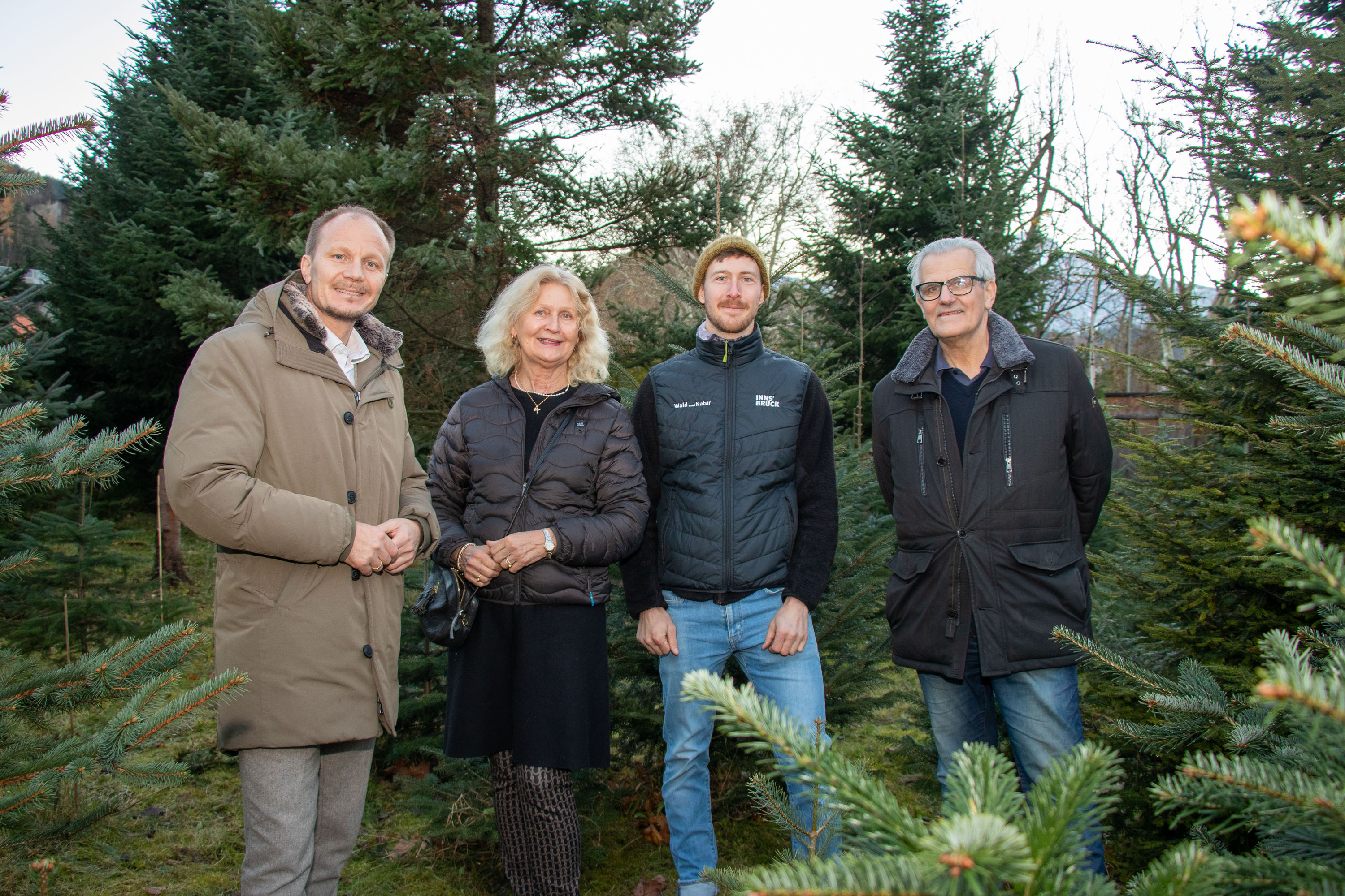 Bürgermeister Johannes Anzengruber (l.) und Referatsleiter Leopold Petrus (2. v. r.) bedanken sich herzlich bei Maria und Franz Tollinger für ihre großzügige Christbaumspende.