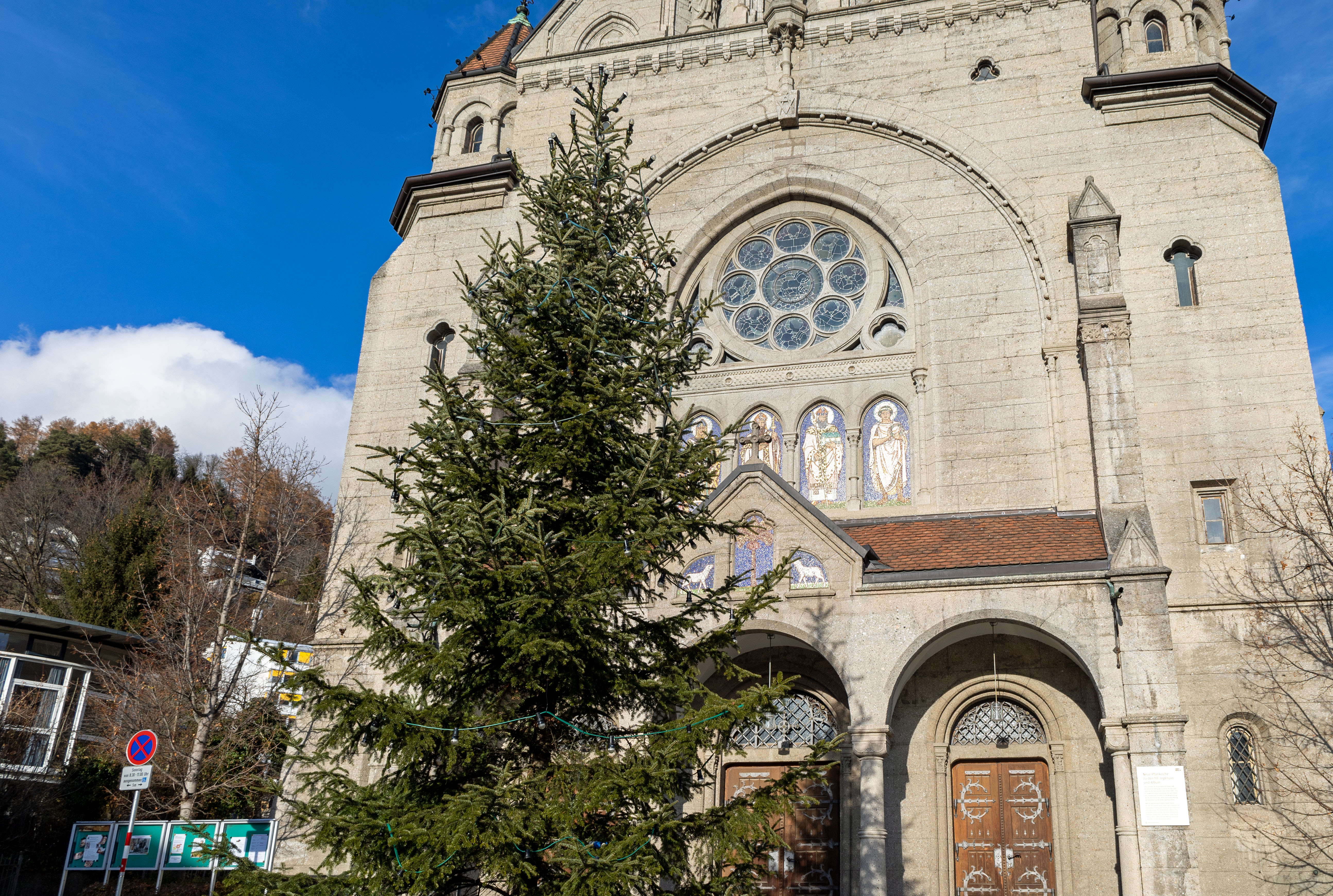 Über 270 Christbäume, darunter zahlreiche private Spenden, schmücken Innsbrucks Stadtteile (Im Bild: Stadtteilchristbaum Hötting). Wer einen Baum für zuhause haben möchte, wird am städtischen Christbaummarkt fündig.
