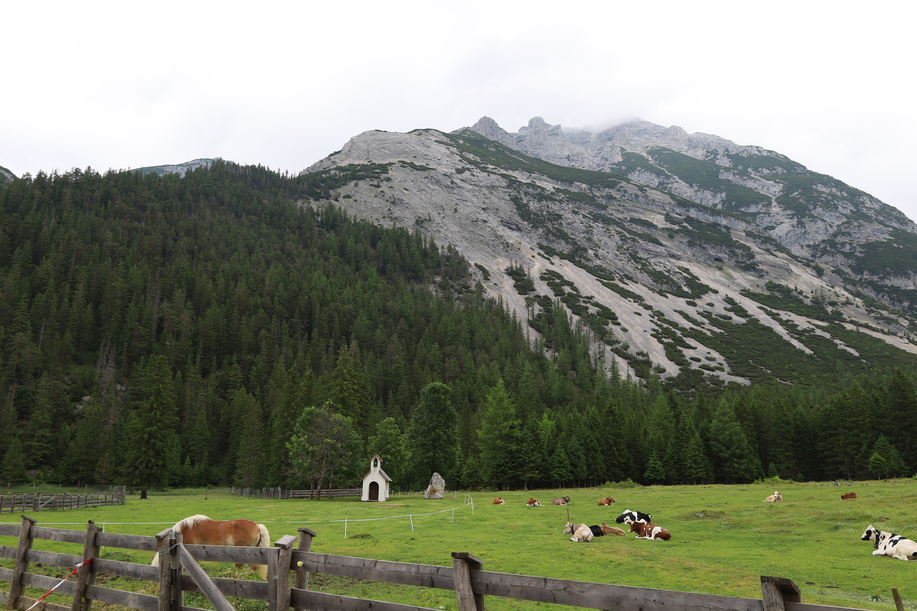 Die Möslalm im Gleirschtal inmitten des Naturparks Karwendel wird seit mehr als 90 Jahren bewirtschaftet. Gemeinsam mit der Arzler Alm, der Bodensteinalm, der Fronebenalm im Stubaital, der Höttinger Alm und der Umbrüggler Alm gehört die Möslalm zu den sechs Almen im Eigentum der Stadt Innsbruck. 1.262 Meter über dem Meeresspiegel dient die Möslalm nicht nur zur Sommerfrische der Almrinder, sondern auch als Rückzugs- und Erholungsgebiet für Gäste wie Einheimische gleichermaßen, die mit den regional und nachhaltig produzierten Speisen von Mai bis September bewirtet werden.
Direkt zur Alm gehört auch eine kleine Kapelle, die in den späten 1920er-Jahren errichtet wurde. Zur Begrenzung der Viehweide wird zukünftig rund um die Andachtsstelle ein Gatter errichtet. Das schmiedeeiserne Gattertor wurde im Zuge einer Projektarbeit der 4. Klasse Schmiedetechniker der Tiroler Fachberufsschule für Metalltechnik in der Mandelsbergerstraße gefertigt. Bürgermeister Johannes Anzengruber stattete den Schülern sowie den Lehrbeauftragten kürzlich einen Besuch ab und zeigte sich vom Werk sichtlich begeistert. Im Bild v. l. n. r.: Lehrer Stefan Erlacher, die Schüler der 4. Klasse (Schmiedetechniker), Direktor Josef Siller und Bürgermeister Johannes Anzengruber.