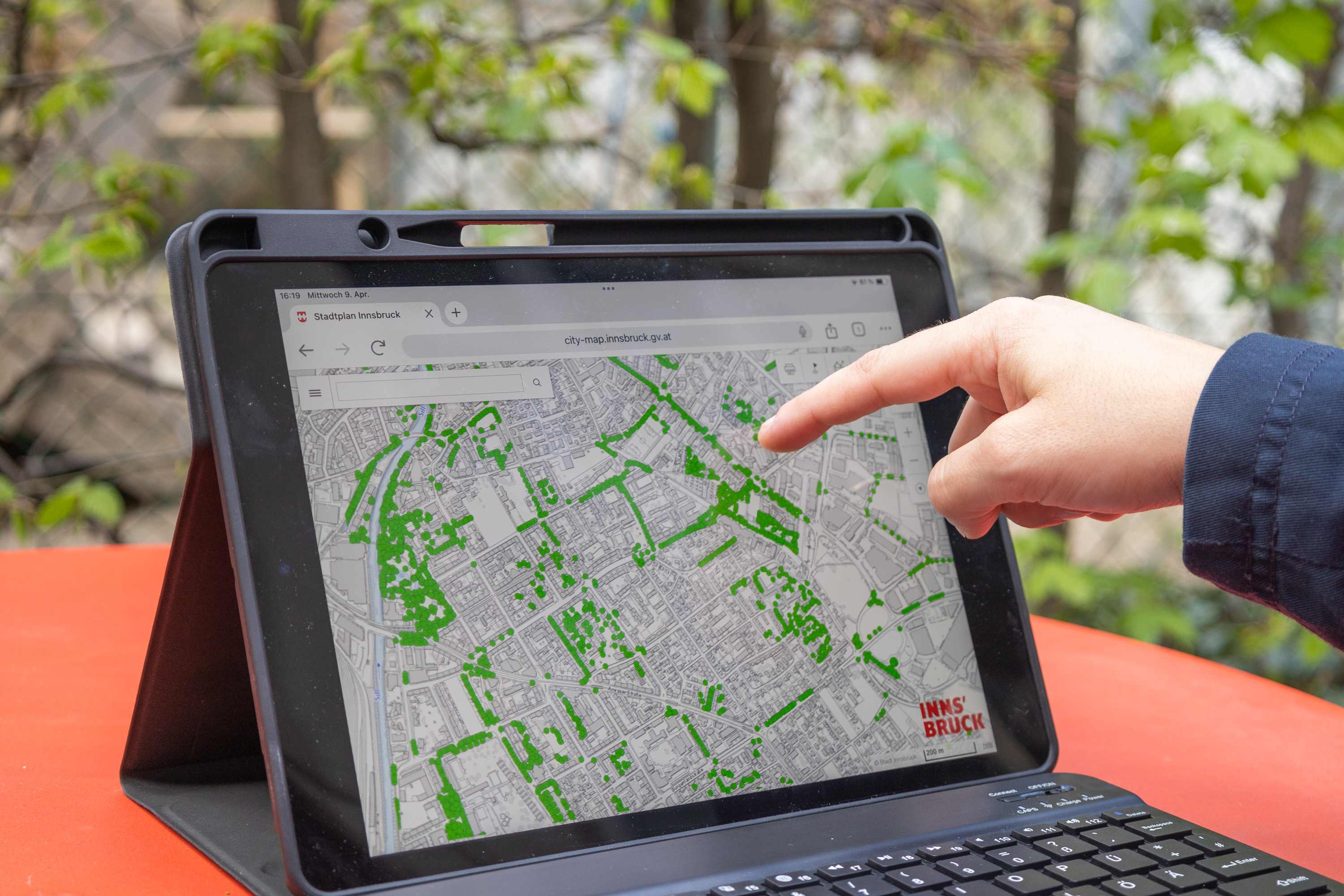 Die Informationen zu mehr als 13.600 Bäumen können digital im städtischen Baumkataster abgerufen werden.