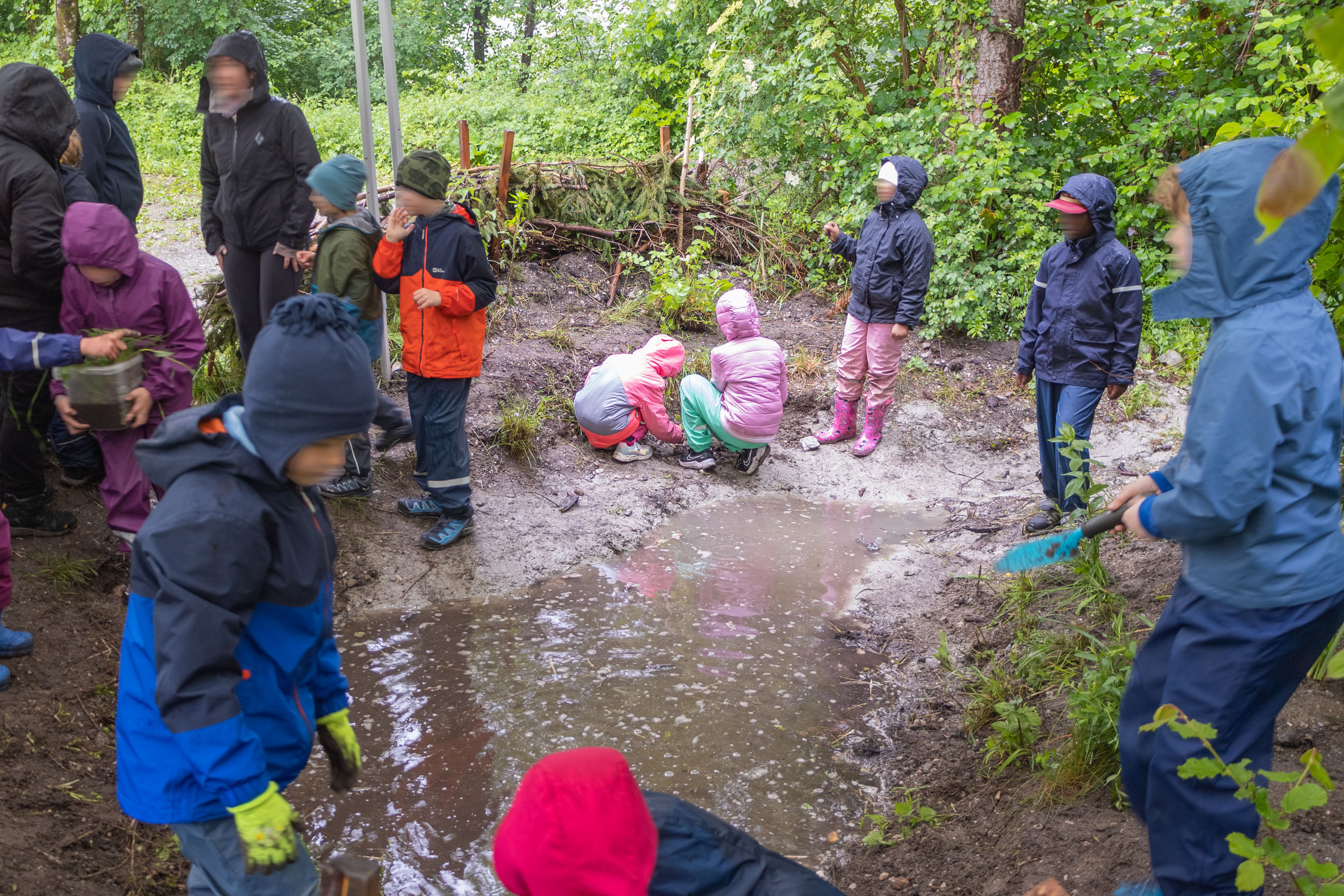 Unter fachlicher Anleitung setzten die Volksschulkinder Wasserpflanzen in das Biotop ein.