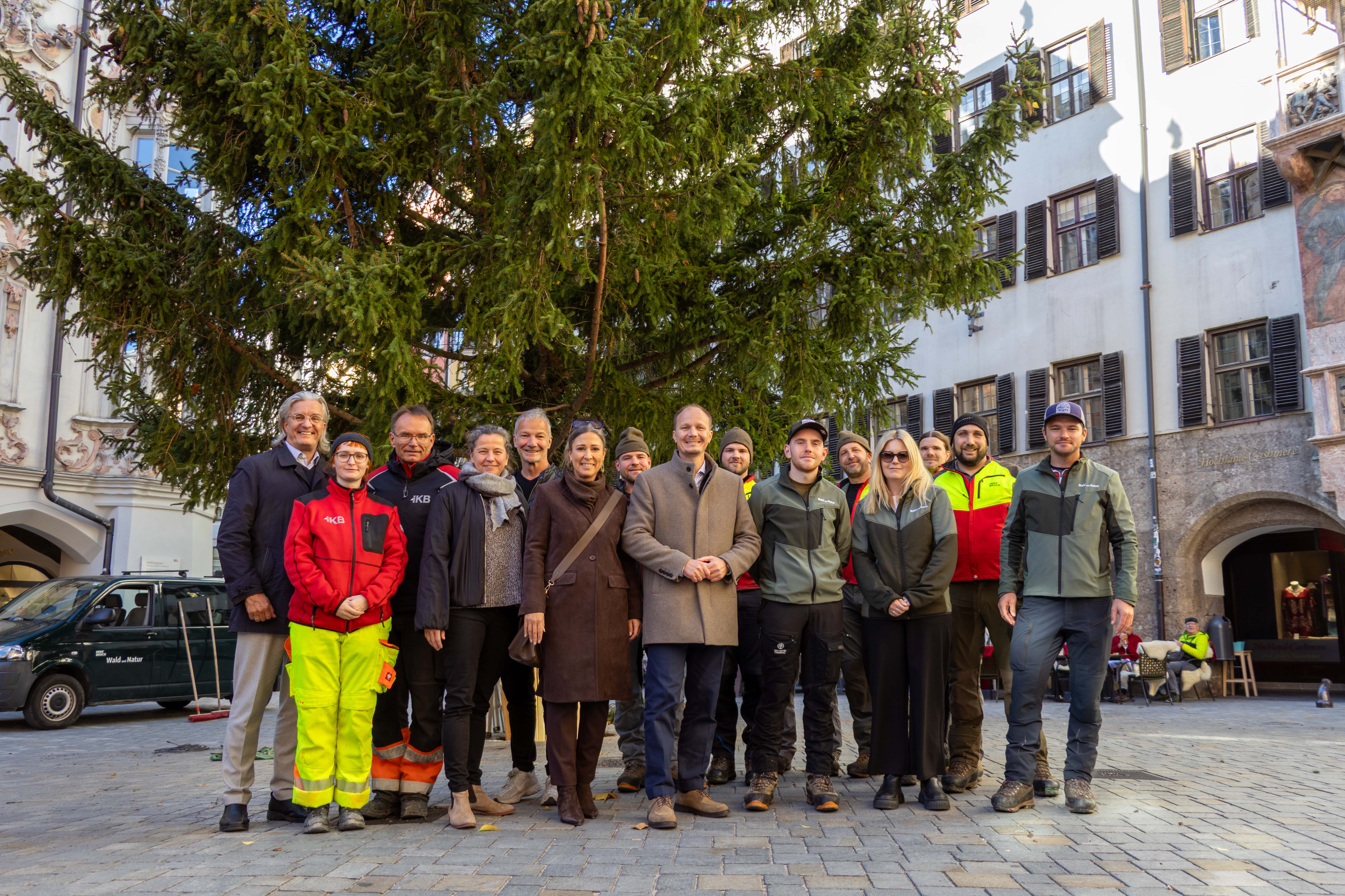 Der Christbaum steht! Bürgermeister Johannes Anzengruber (Mitte) freut sich gemeinsam mit VertreterInnen der Altstadtwirtschaft, dem Innsbruck Marketing, der IKB und dem Amt für Wald und Natur über das erfolgreiche Aufstellen des diesjährigen Christbaums.
