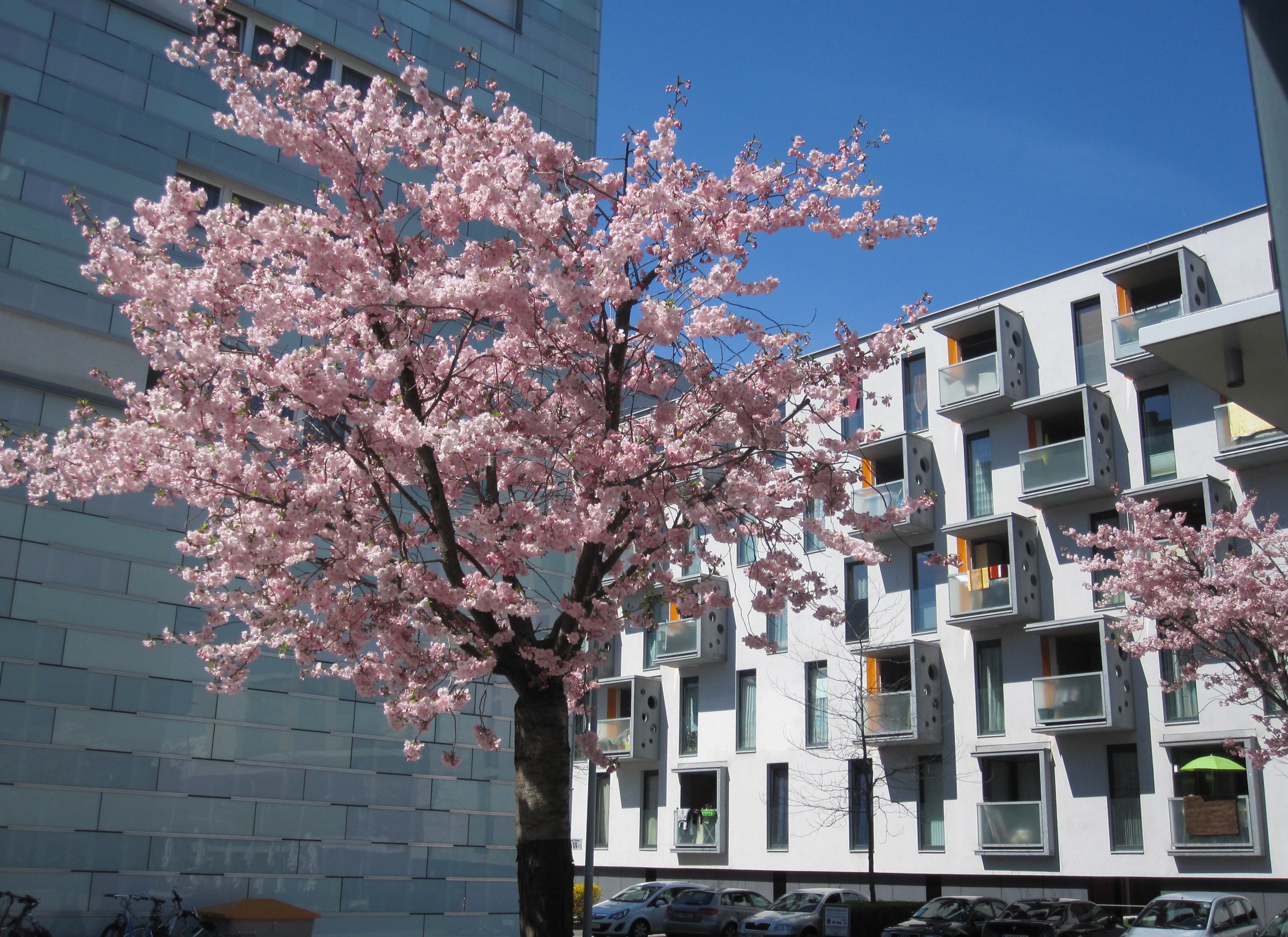 Einblick in das zwischen 2005 und 2009 errichtete Wohnviertel Tivoli Neu.