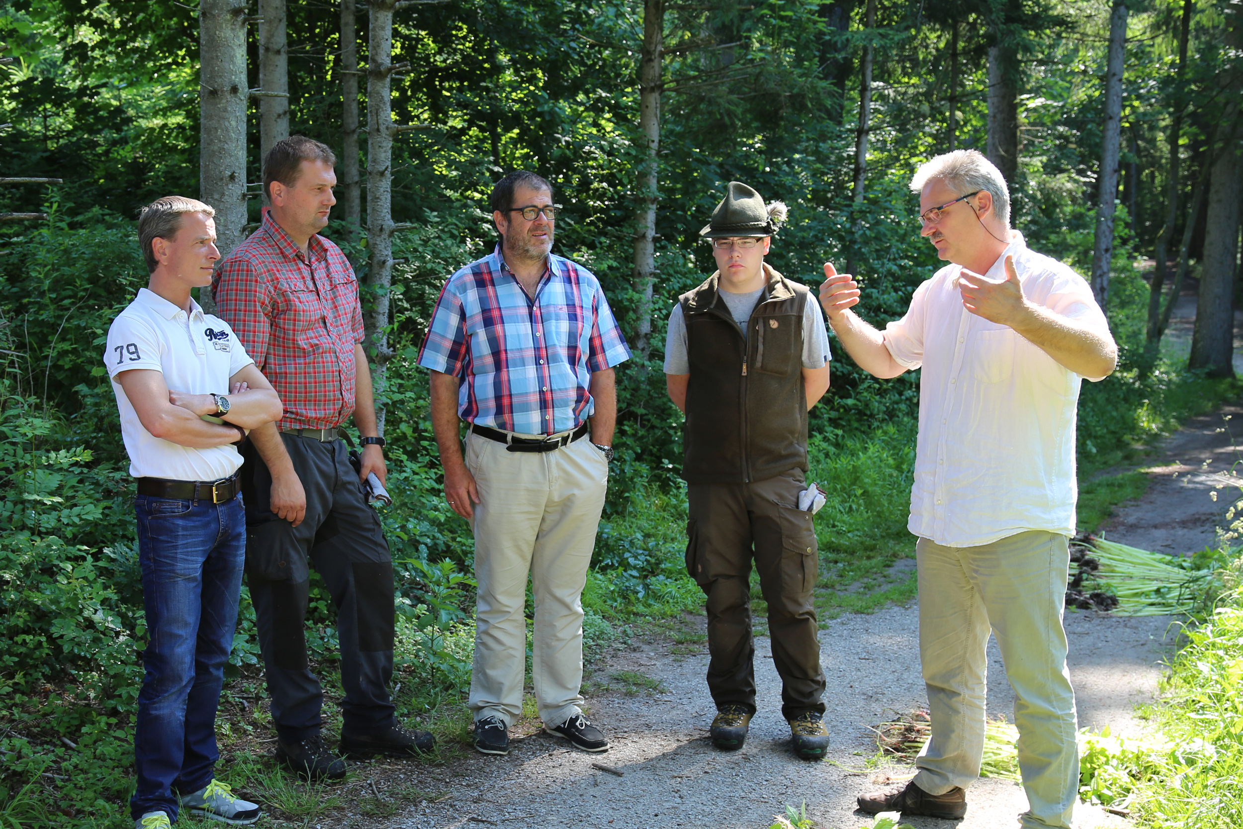 Neophyten-Experte Konrad Pagitz (r.) erläutert Vizebürgermeister Christoph Kaufmann, Waldaufseher Stefan Peer, Forstamtsleiter Andreas Wildauer und Försteranwärter Michael Pfurtscheller (v.l.) die Problematik des Japanischen Springkrauts und dessen ideale Bekämpfung.
