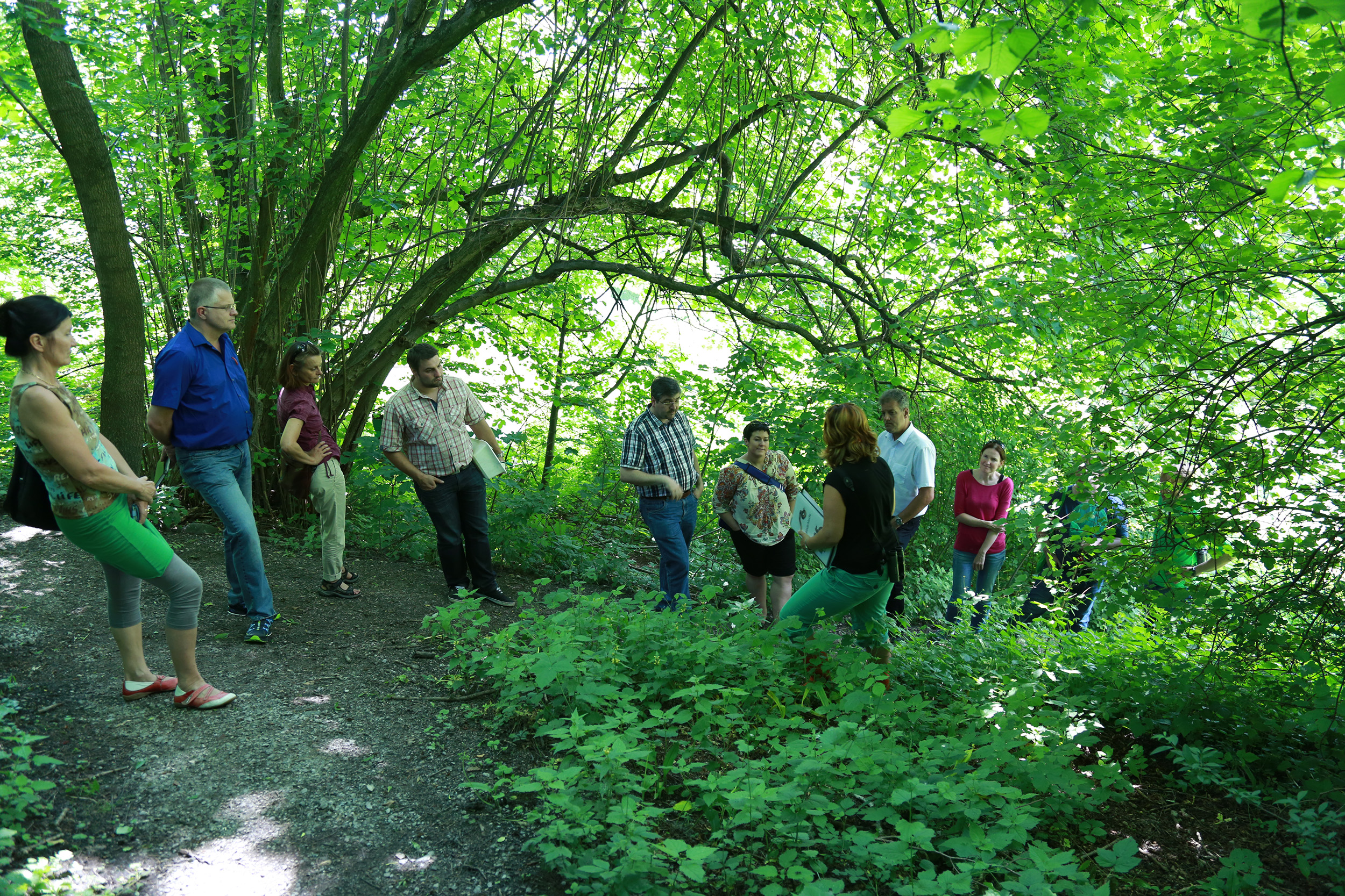 Der Ausschuss für Umwelt, Energie und Mobilität, unter der Vorsitzenden Uschi Schwarzl, besuchte das Mühlauer Fuchsloch. 1989 wurde ein Großteil der heutigen Teiche vom Mühlauer Erwin Kögl angelegt. Seit 1998 wird das 2,5 ha große Naturschutzgebiet durch „natopia“ betreut. Die Stadt Innsbruck fördert dieses Projekt und konnte sich im Beisein von Vizebürgermeisterin Sonja Pitscheider von der hervorragenden Arbeit überzeugen. Biotopsmanagerin Sylvia Auer wartet mit beeindruckenden Zahlen auf und sogar der seltene Teichmolch sowie der Bergmolch konnte gesichtet werden.