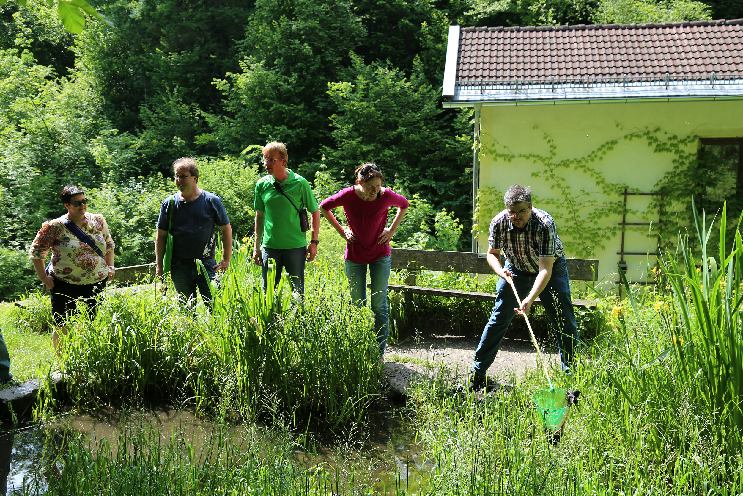 Der Ausschuss für Umwelt, Energie und Mobilität, unter der Vorsitzenden Uschi Schwarzl, besuchte das Mühlauer Fuchsloch. 1989 wurde ein Großteil der heutigen Teiche vom Mühlauer Erwin Kögl angelegt. Seit 1998 wird das 2,5 ha große Naturschutzgebiet durch „natopia“ betreut. Die Stadt Innsbruck fördert dieses Projekt und konnte sich im Beisein von Vizebürgermeisterin Sonja Pitscheider von der hervorragenden Arbeit überzeugen. Biotopsmanagerin Sylvia Auer wartet mit beeindruckenden Zahlen auf und sogar der seltene Teichmolch sowie der Bergmolch konnte gesichtet werden.