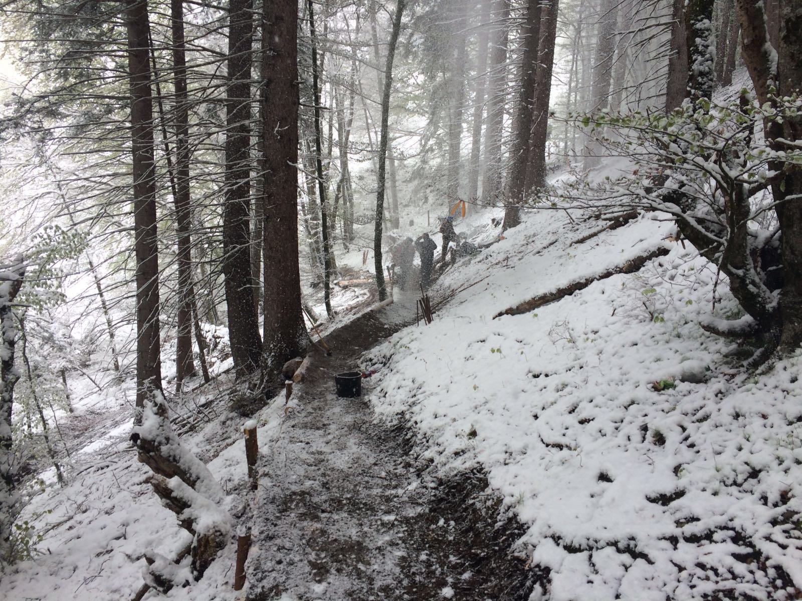 Am 25. April gab es nochmal einen Wintereinbruch, wodurch sich aber die Mitglieder des MIT und die Arbeiter des städtischen Forstamtes nicht aufhalten ließen.