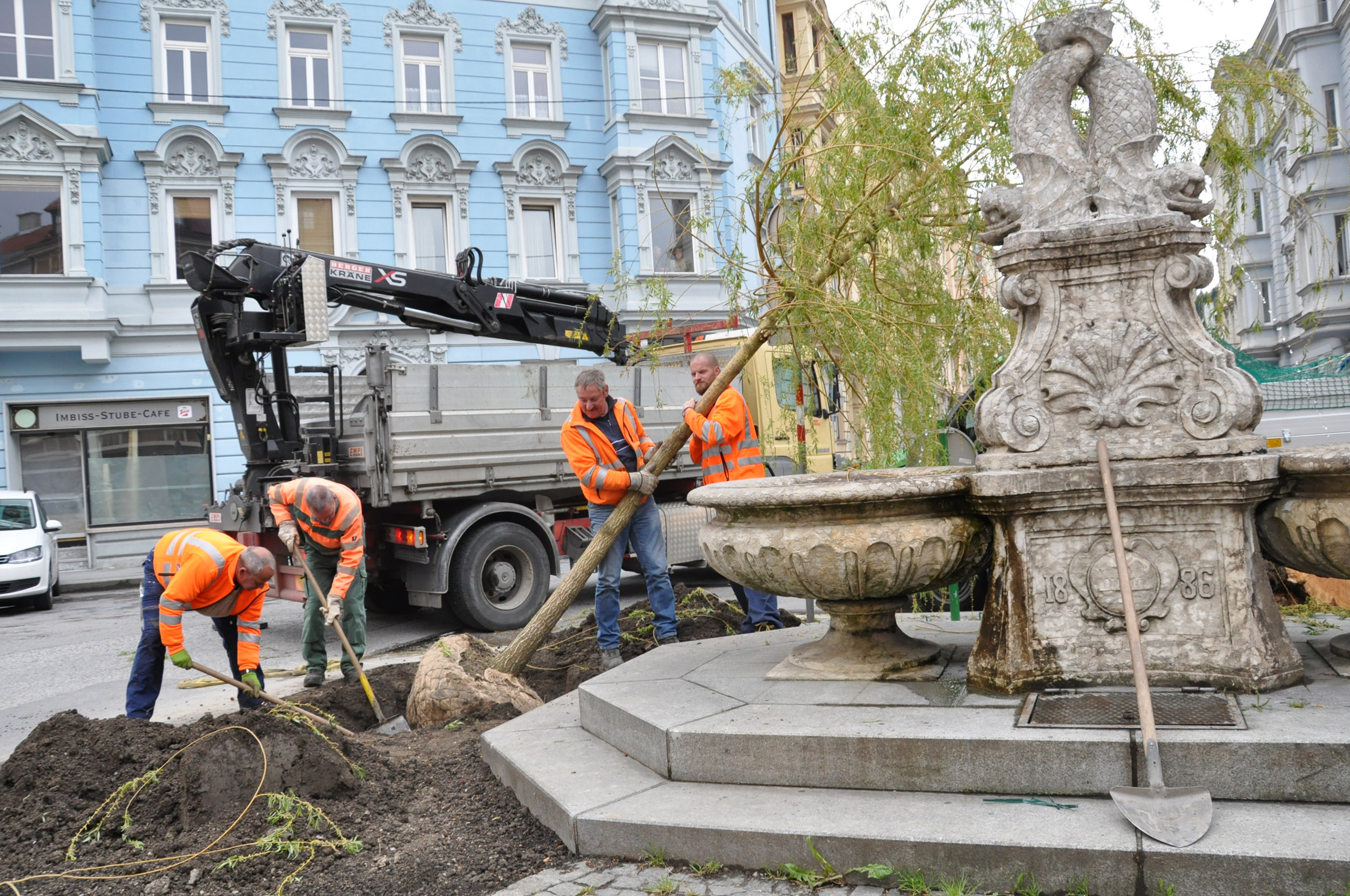 Die neue Weide wurde am Mittwoch eingepflanzt.