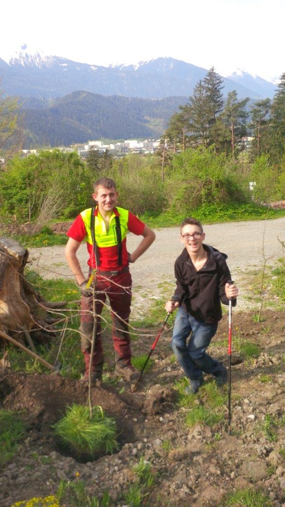 Am 22. April haben die Lehrlinge im Stadtmagistrat Innsbruck, von der Bürokauffrau bis zum Landmaschinenmechaniker im Bereich Kranebitten mit großem Eifer und Spaß an der Sache einen Waldgürtel aufgeforstet. dieser Waldgürtel bildet zukünftig eine Grünstreifen zwischen den neuen Siedlungsbereichen im Westen von Kranebitten und dem neuen Spielplatz, dessen Bau in Kürze beginnen wird. Dafür wurden von den Mädchen und Buben ca. 300 Straücher, welche auch in der Natur um Innsbruck vorkommen, verpflanzt. Damit haben die Lehrlinge einen aktiven Beitrag zur Erhaltung und Verbesserung der Wohnqualität in Kranebitten, der Erholungswirkung des Waldes rund um Innsbruck sowie zur Verbesserung des Lebensraumes für Vögel und andere Bewohner von Waldrandbereichen geleistet.
Das Amt für Land- und Forstwirtschaft, welches zusammen mit mit der Lehrlingsbeauftragten Monika Erharter diese Aktion für unseren Lehrlinge organisiert hat, zeigt sich über den Einsatzwillen und das Engagement der Jugendlichen beeidruckt und bedankt sich für die gute Arbeit. Das Amt für Personalwesen hat seinen Beitrag in Form einer wohlverdienten Stärkung Ihrer jüngsten Mitarbeiter geleistet, wofür sich die jungen Waldarbeiter herzlich bedanken.