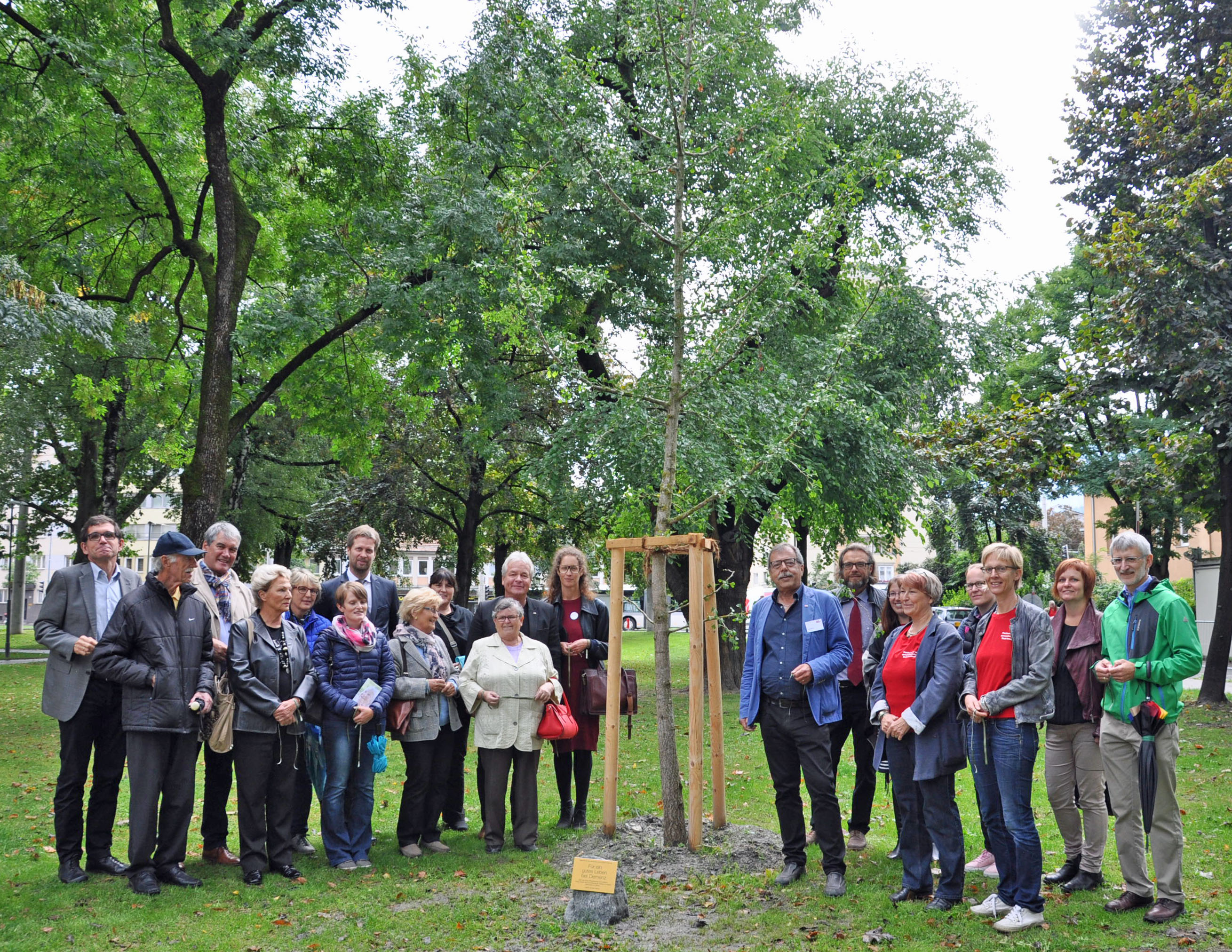 Die „Plattform für eine demenzfreundliche Stadt Innsbruck“ , bestehend aus Caritas Tirol, Innsbrucker Soziale Dienste GmbH, Jesuitenorden (IHS), Stiftung Nothburgaheim, Tirol Kliniken GmbH, Verein Vaget und Volkshilfe, und die Stadträte Mag. Gerhard Fritz und Ernst Pechlaner mit dem neugepflanzten Ginkgobaum im Rapoldipark.