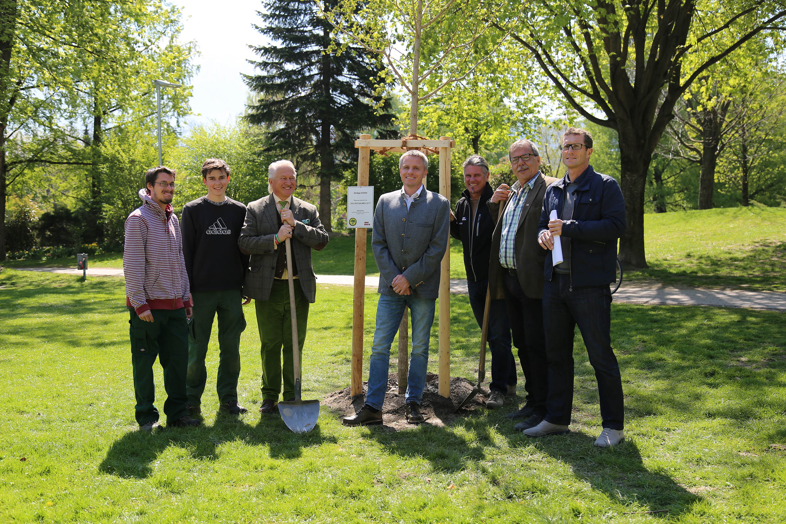 Bei dem neu gepflanzten Ginkgo-Baum im Rapoldipark (v.l.): Zwei Mitarbeiter des Grünanlagenamtes, ISA-Präsident Joseph Klaffenböck, ISA-Schatzmeister Johannes Gold, Projektleiter Stefan Engele, Stadtrat Gerhard Fritz und Amtsleiter Thomas Klingler