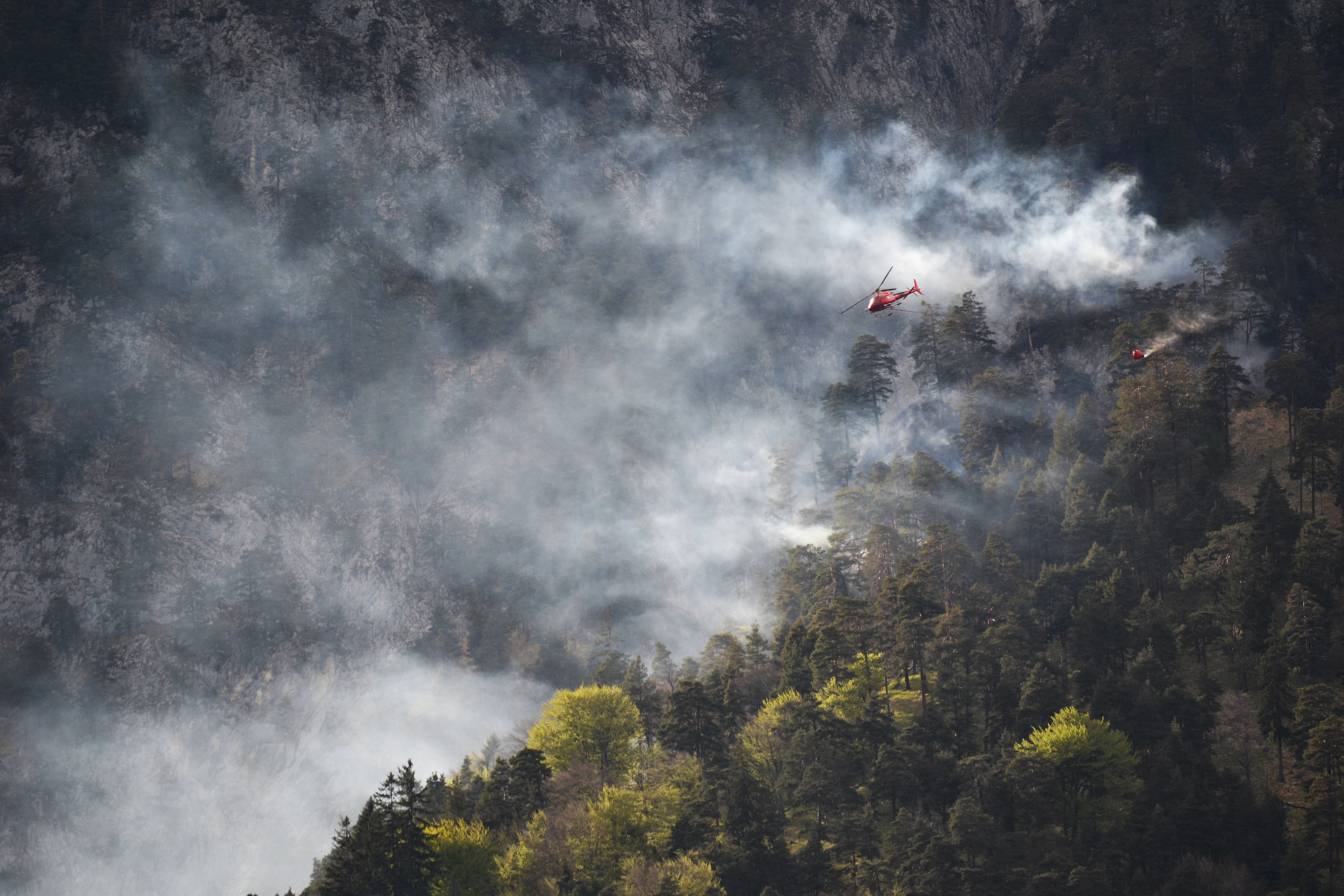 Im Mai kam es im Bereich Hechenberg zu einem Waldbrand. Nun steigt die Gefahr aufgrund Trockenheit erneut.