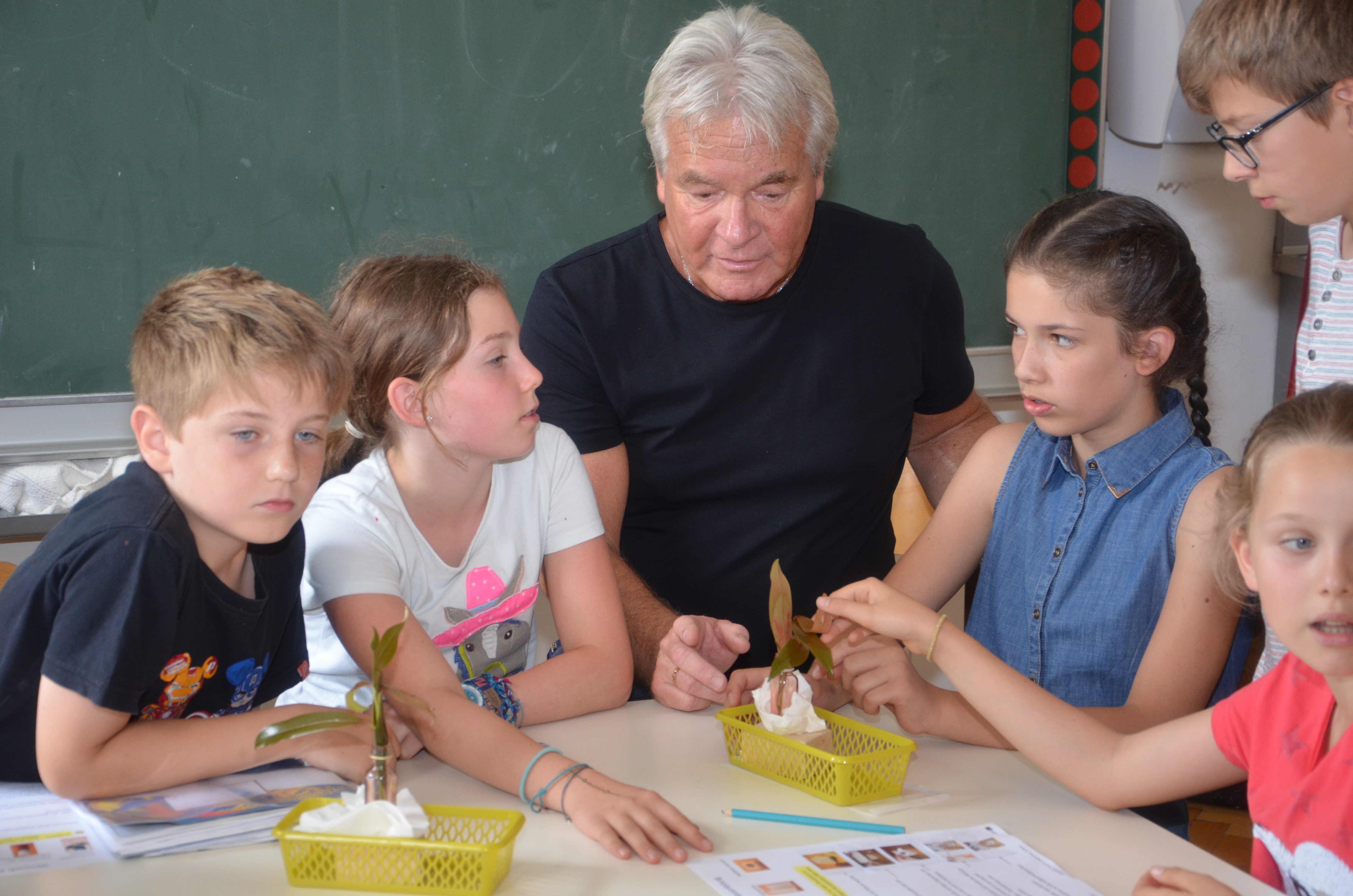 Die Pflanze als Wasserleitung: Stadtrat Ernst Pechlaner erfuhr bei seinem Besuch in der Volksschule St. Nikolaus im Juni Interessantes zum Naturstoff Holz.