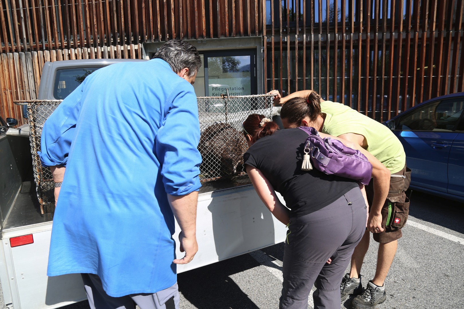 Kontrolle durch die Biberbeauftragte des Landes Tirol, Monika Eder-Trenkwalder, ob es dem "Noch-Patienten" gut geht.