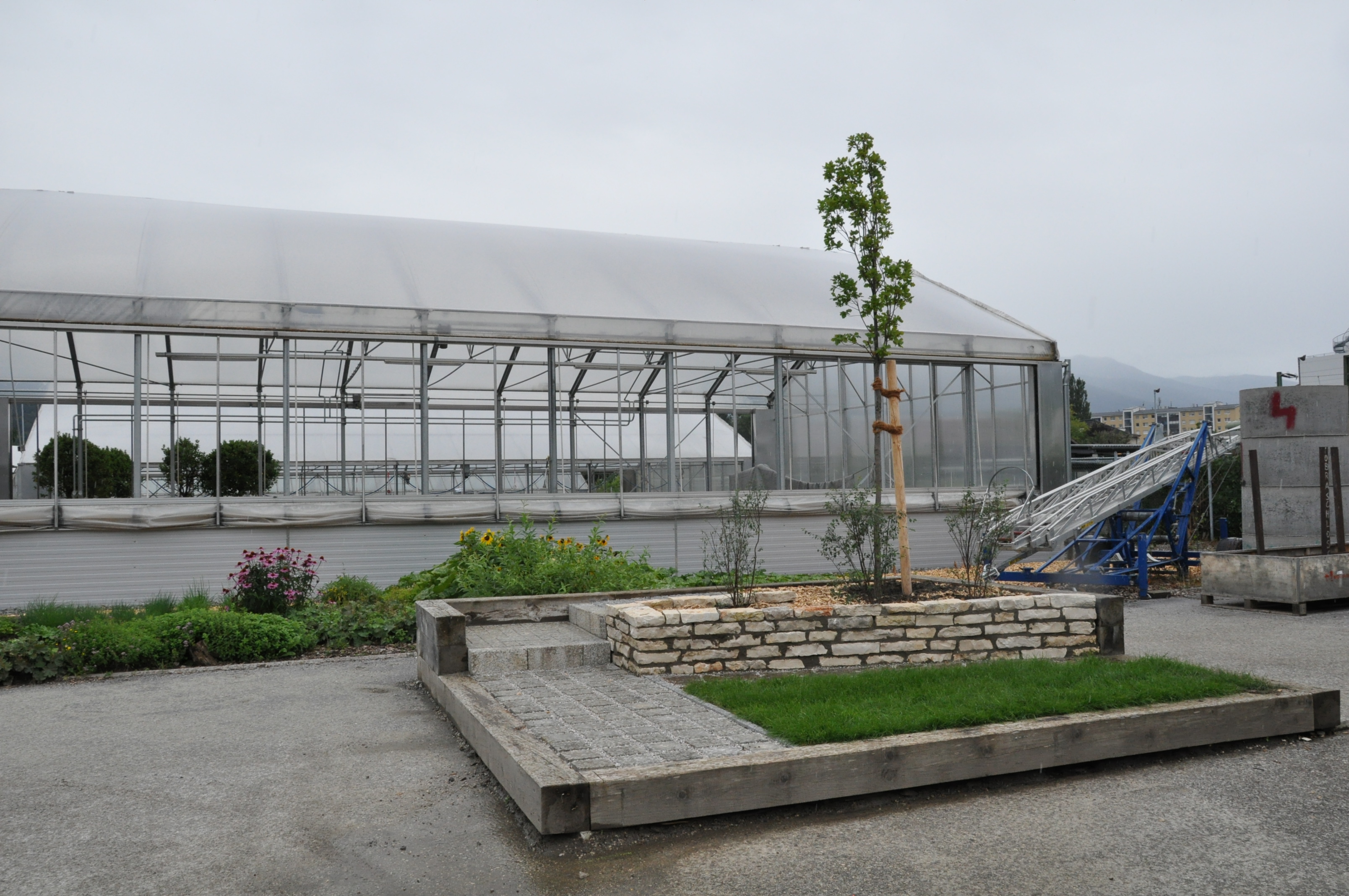 Das Ergebnis kann sich sehen lassen: Die sechs Gärtnerlehrlinge bewiesen auf der Lehrbaustelle der städtischen Gärtnerei (Trientlgasse 13) großes handwerkliches Geschick.