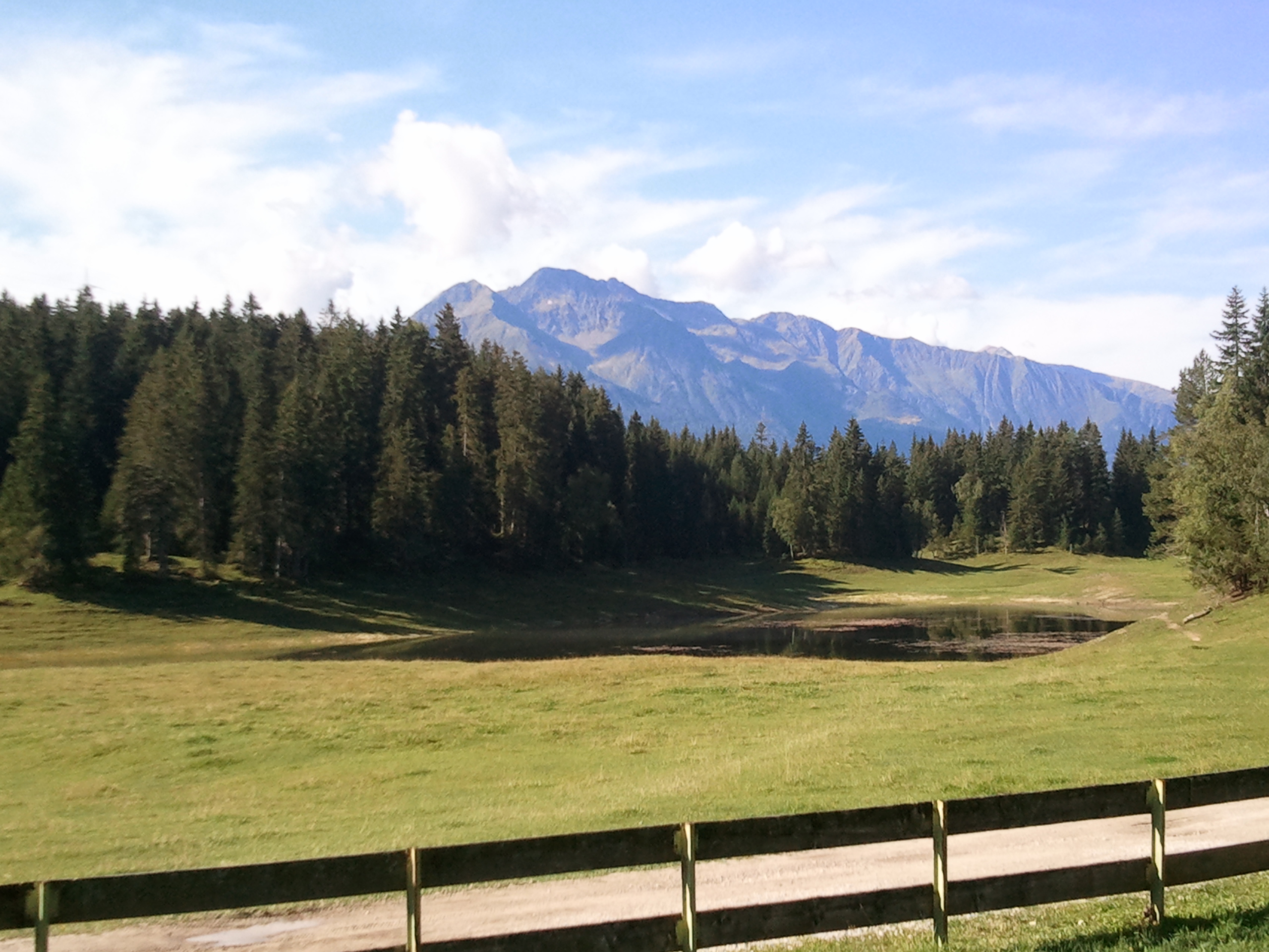 Ziele wie Wildmoos können im Rahmen der Veranstaltung „Unsere Berge für Innsbrucks Seniorinnen und Senioren“ einfach und bequem erreicht werden.