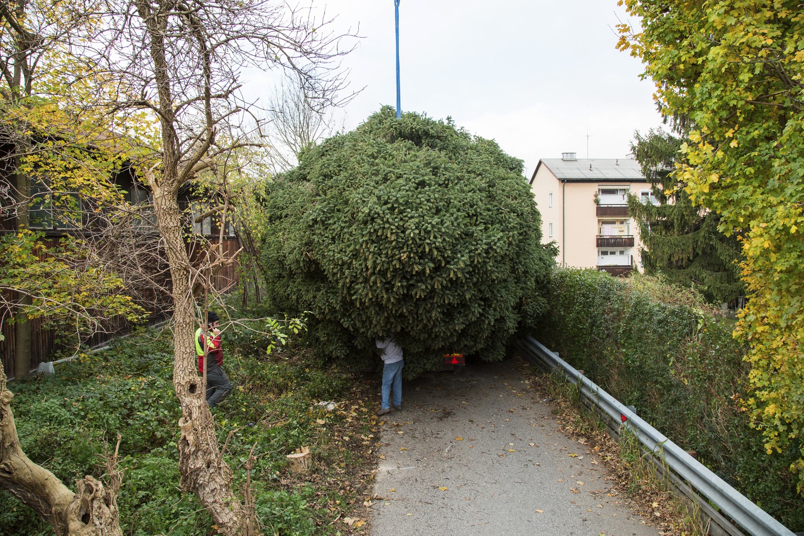 Wie man ihn normalerweise nie sieht: Der Innsbrucker Christbaum von oben.